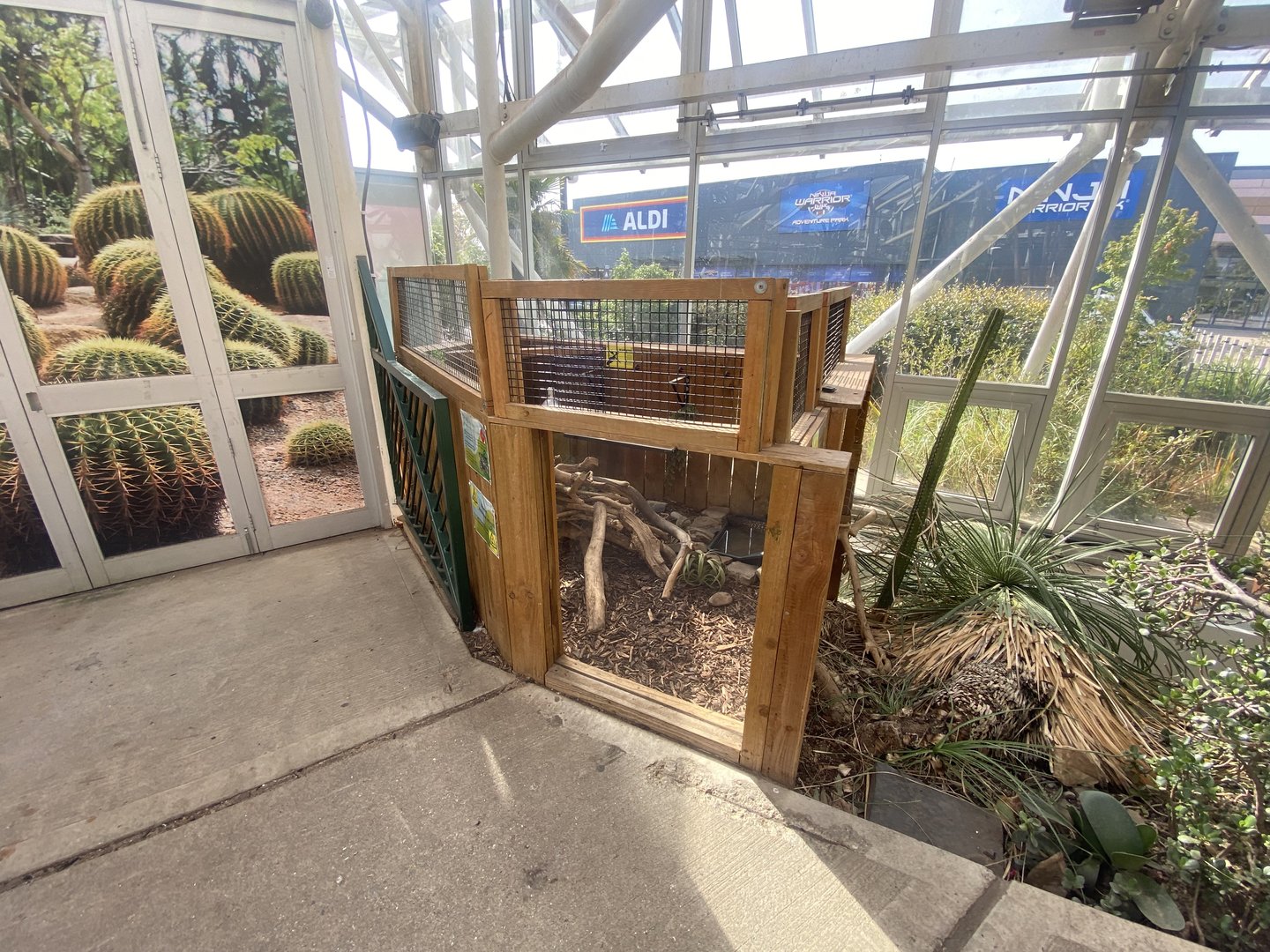 Plantasia - Rio Fuerte beaded lizard exhibit 050923