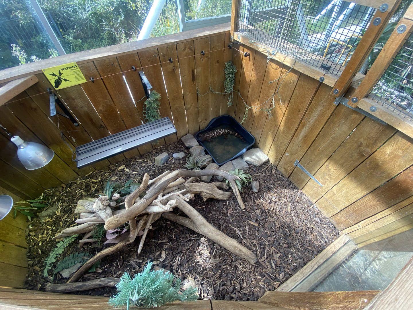 Plantasia - Rio Fuerte beaded lizard exhibit 050923