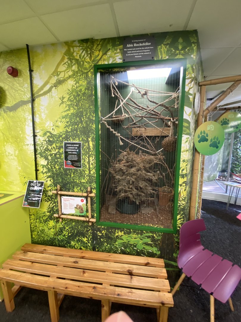 Plantasia - Siberian chipmunk exhibit 050923