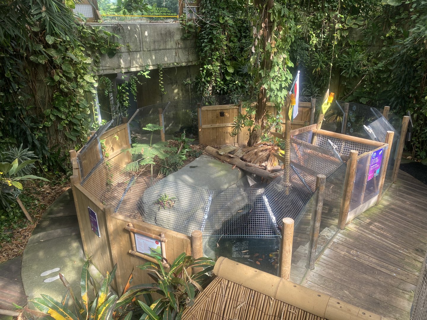 Plantasia - Spectacled caiman exhibit 050923