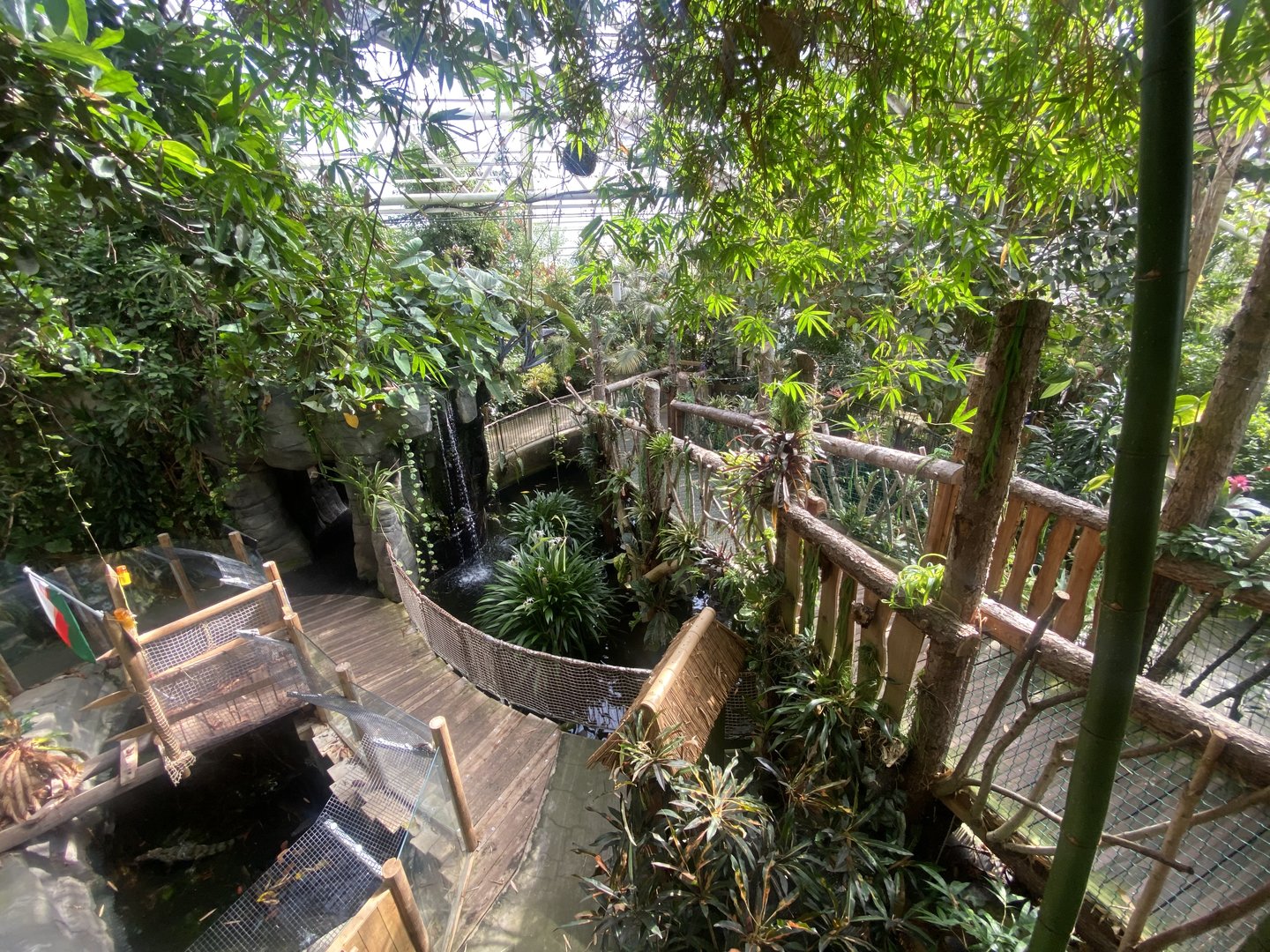 Plantasia - View down towards Spectacled caiman exhibit 050923