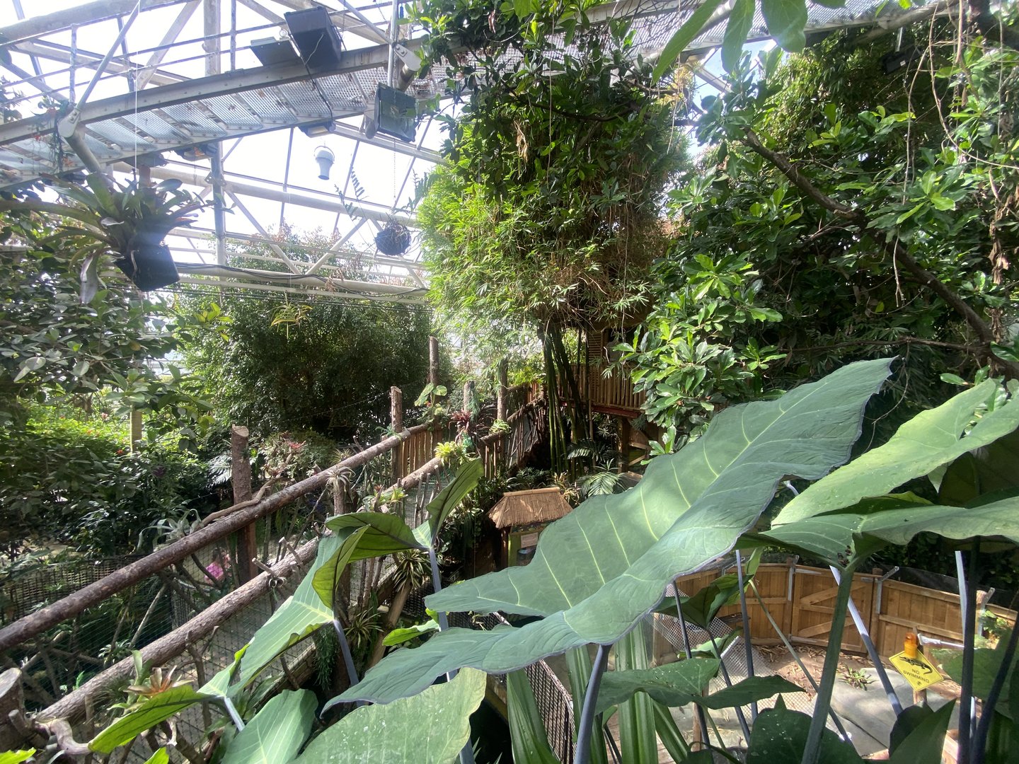 Plantasia - View from top level walkway 050923