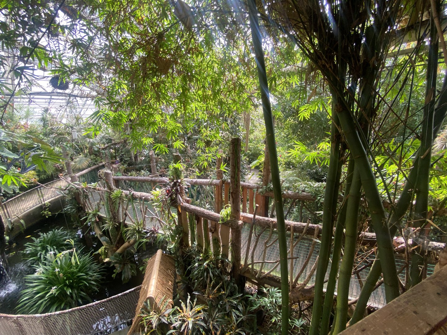 Plantasia - View from upper level 050923