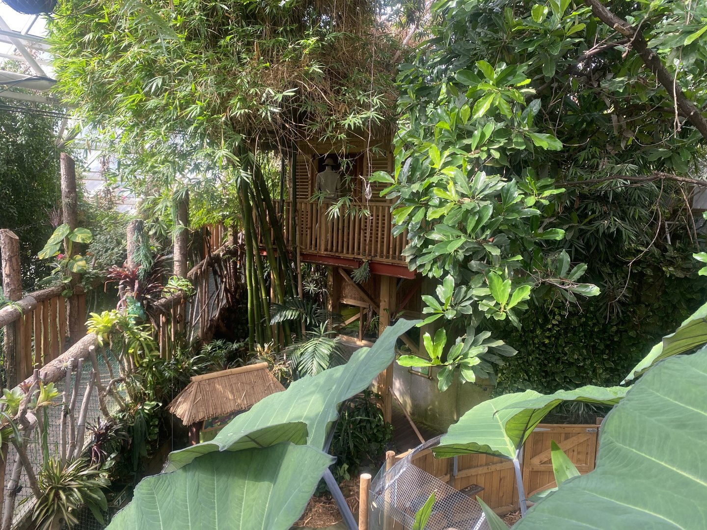 Plantasia - View towards Alfred Wallace exhibit 050923