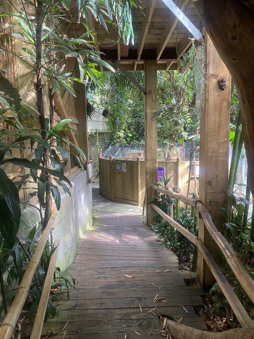 Plantasia - View towards Spectacled caiman exhibit 050923