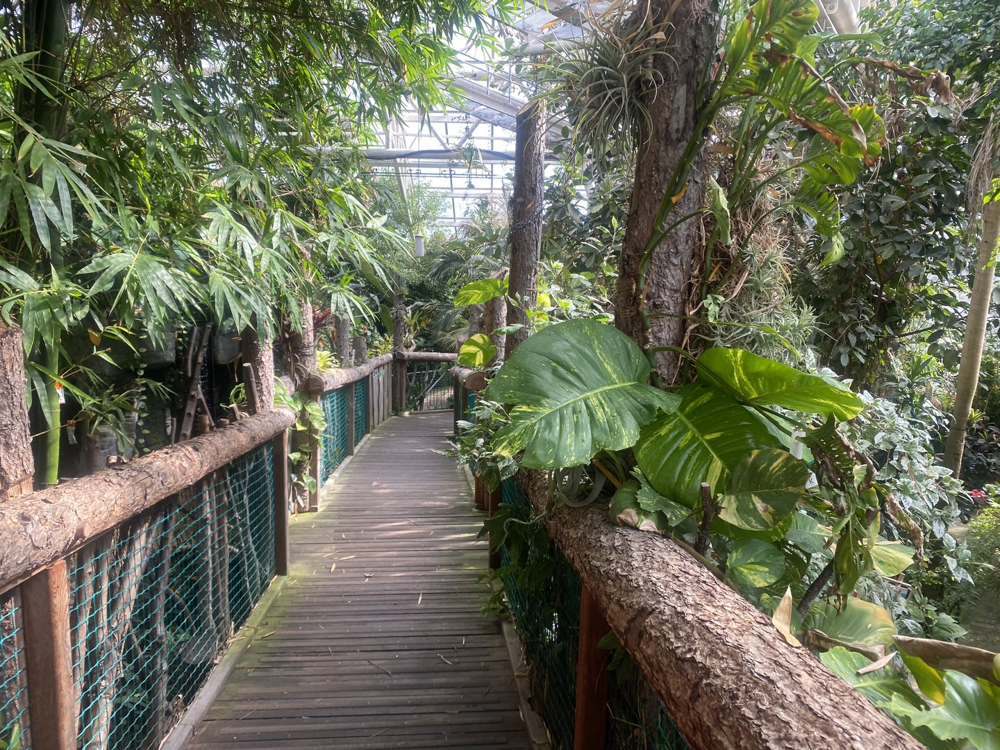 Plantasia - Walkway down 050923