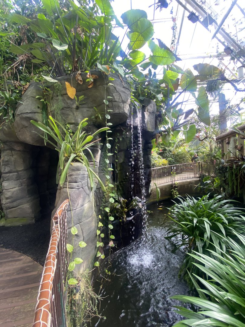 Plantasia - Waterfall 050923