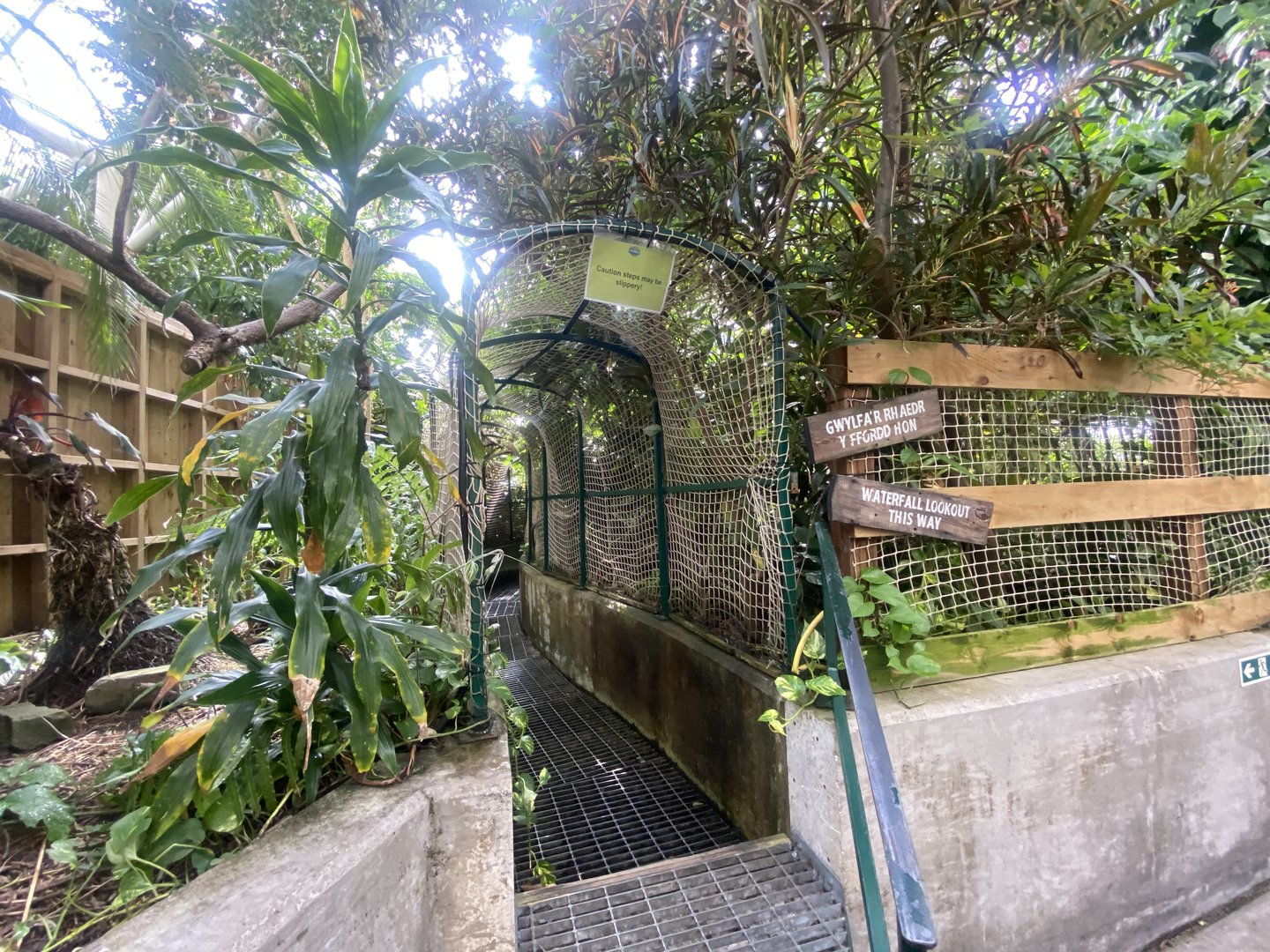 Plantasia - Waterfall Lookout walkway 050923