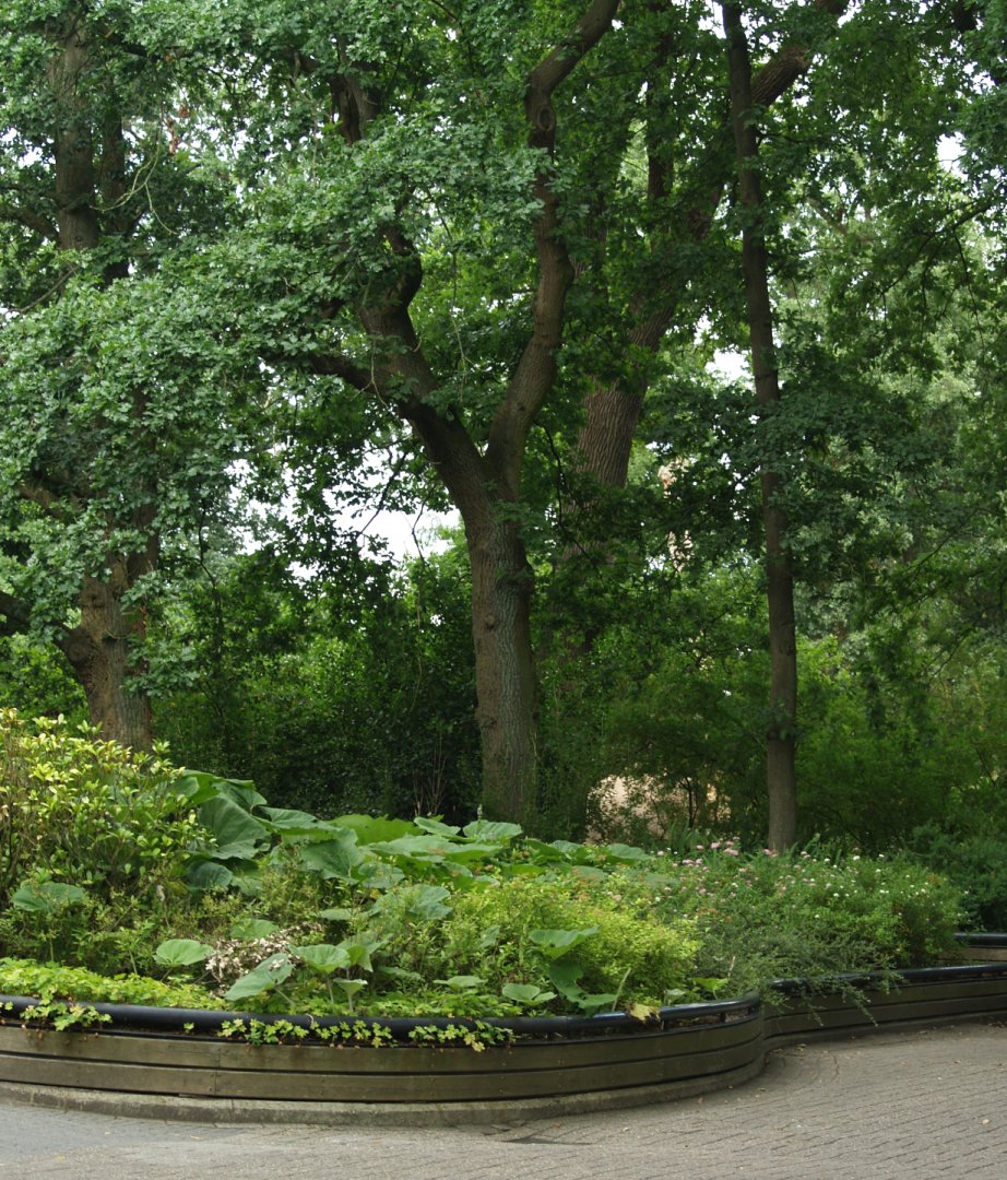 Planted garden area near the Lar gibbon island, 2006-07-08