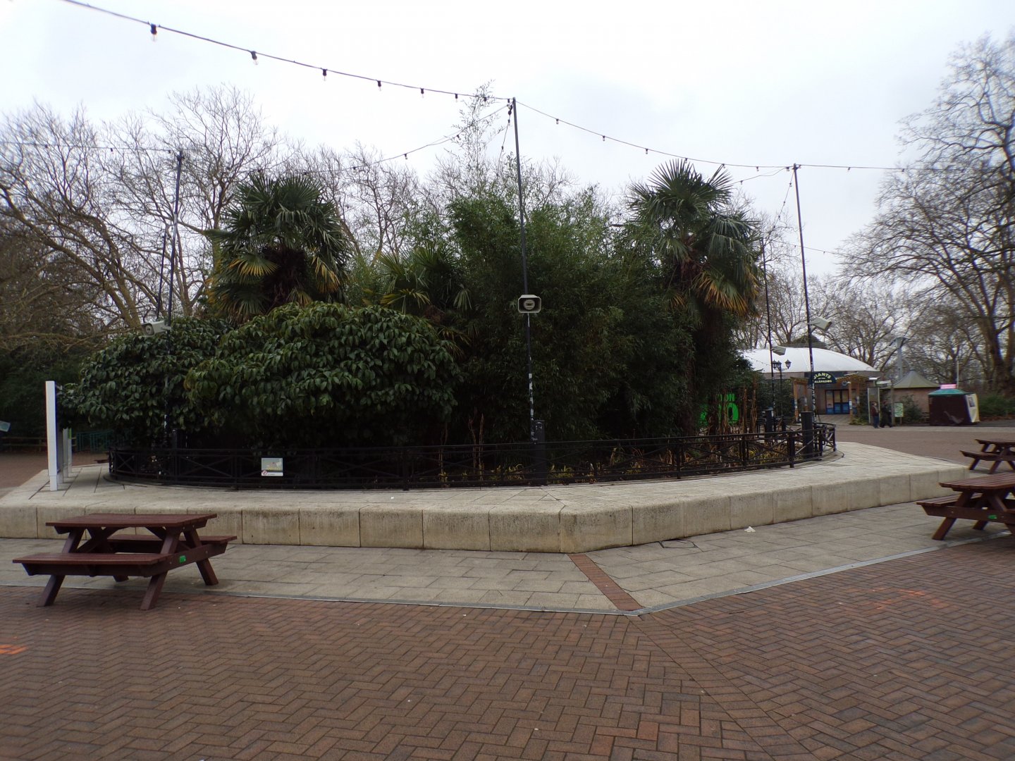 Planted plaza 11.2.25