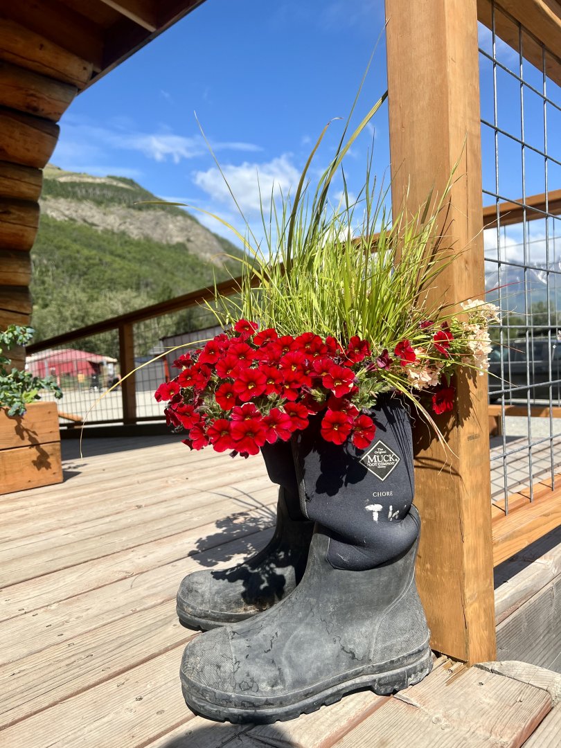 Planter at Gift Shop