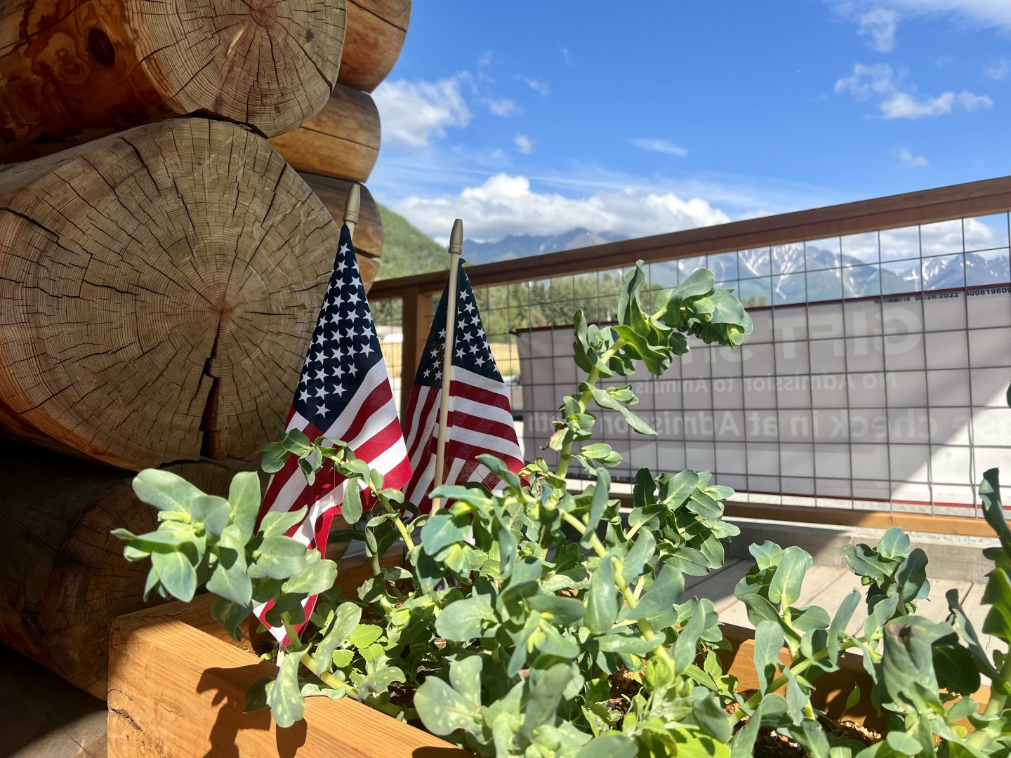 Planter at Gift Shop