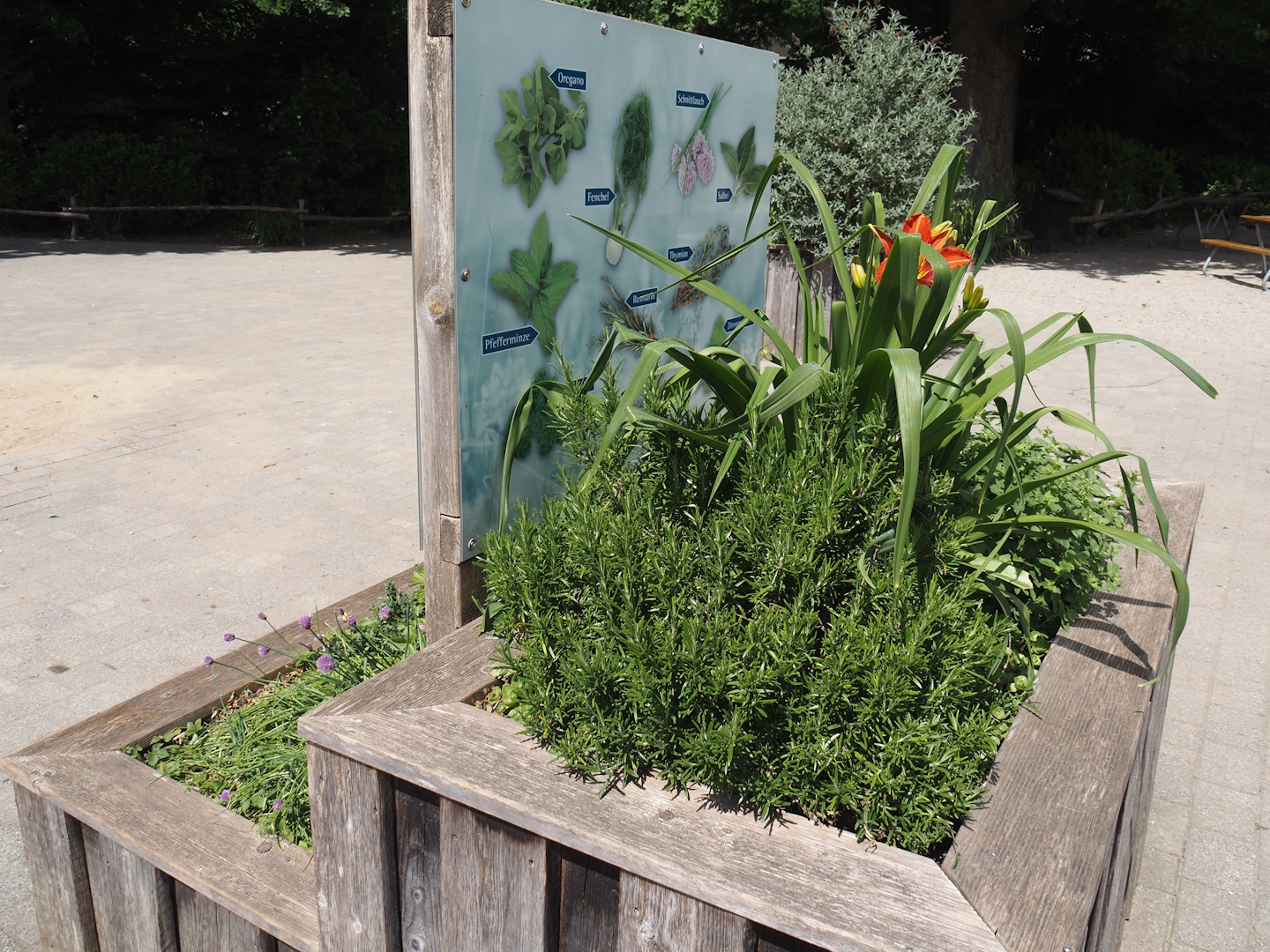 Planter with herbs and vegetables, 2025-05-22