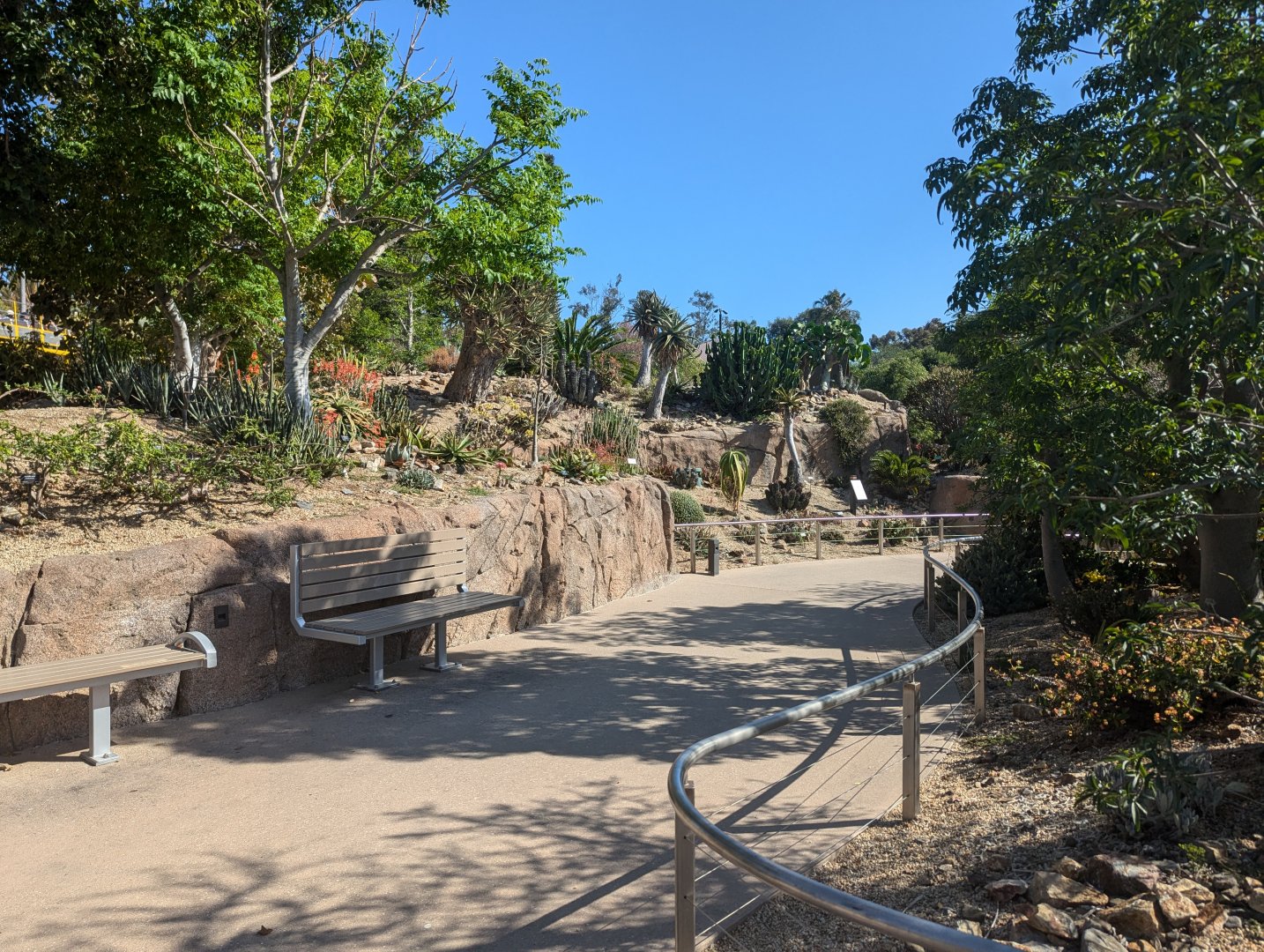 Planting in Africa Rocks Garden