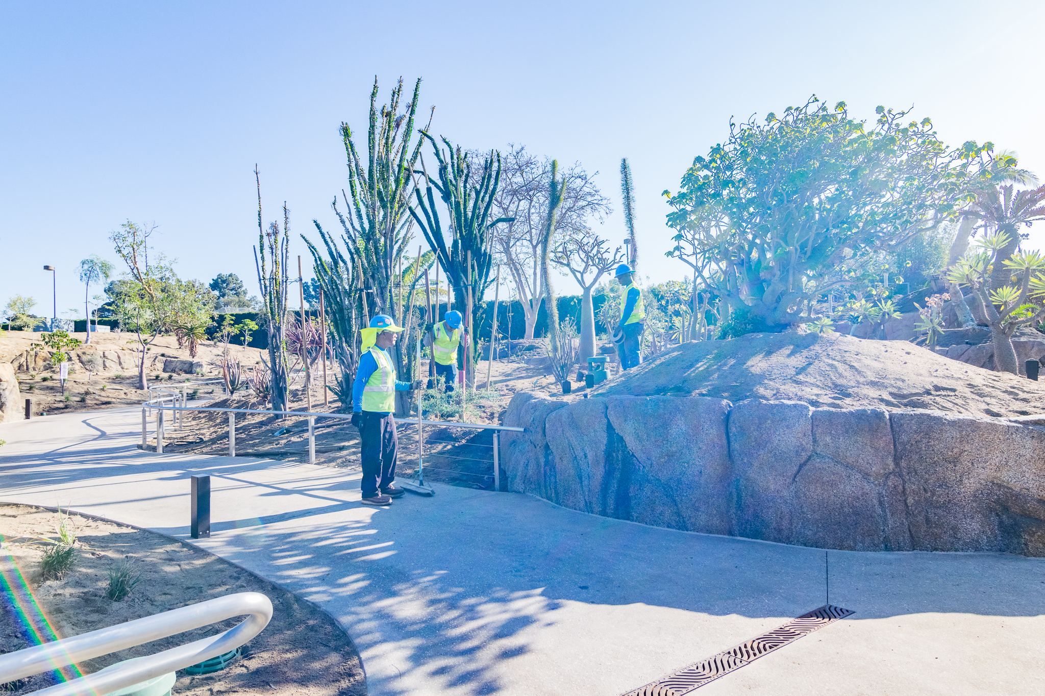 Planting in progress