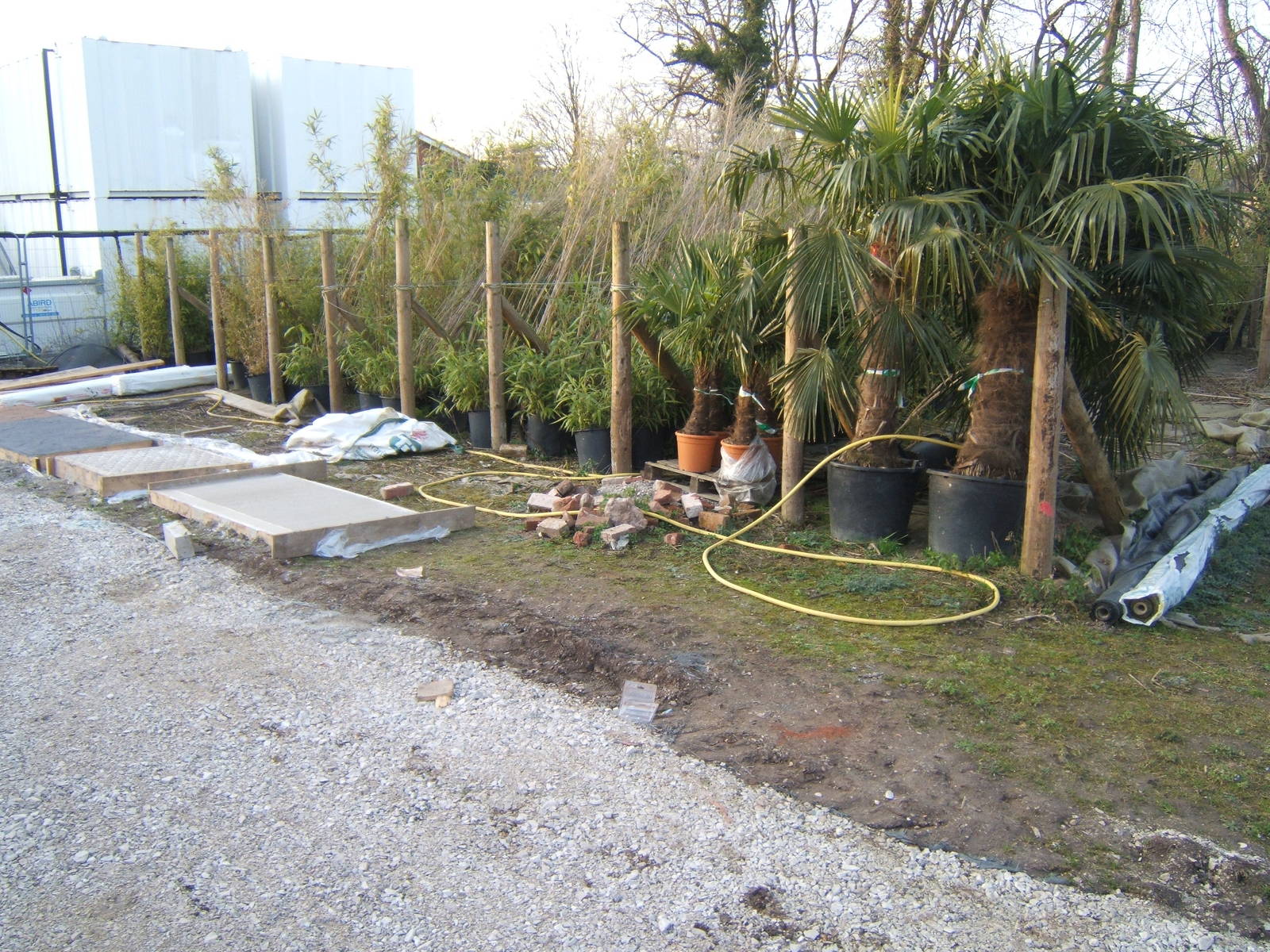 Plants waiting to go in Islands