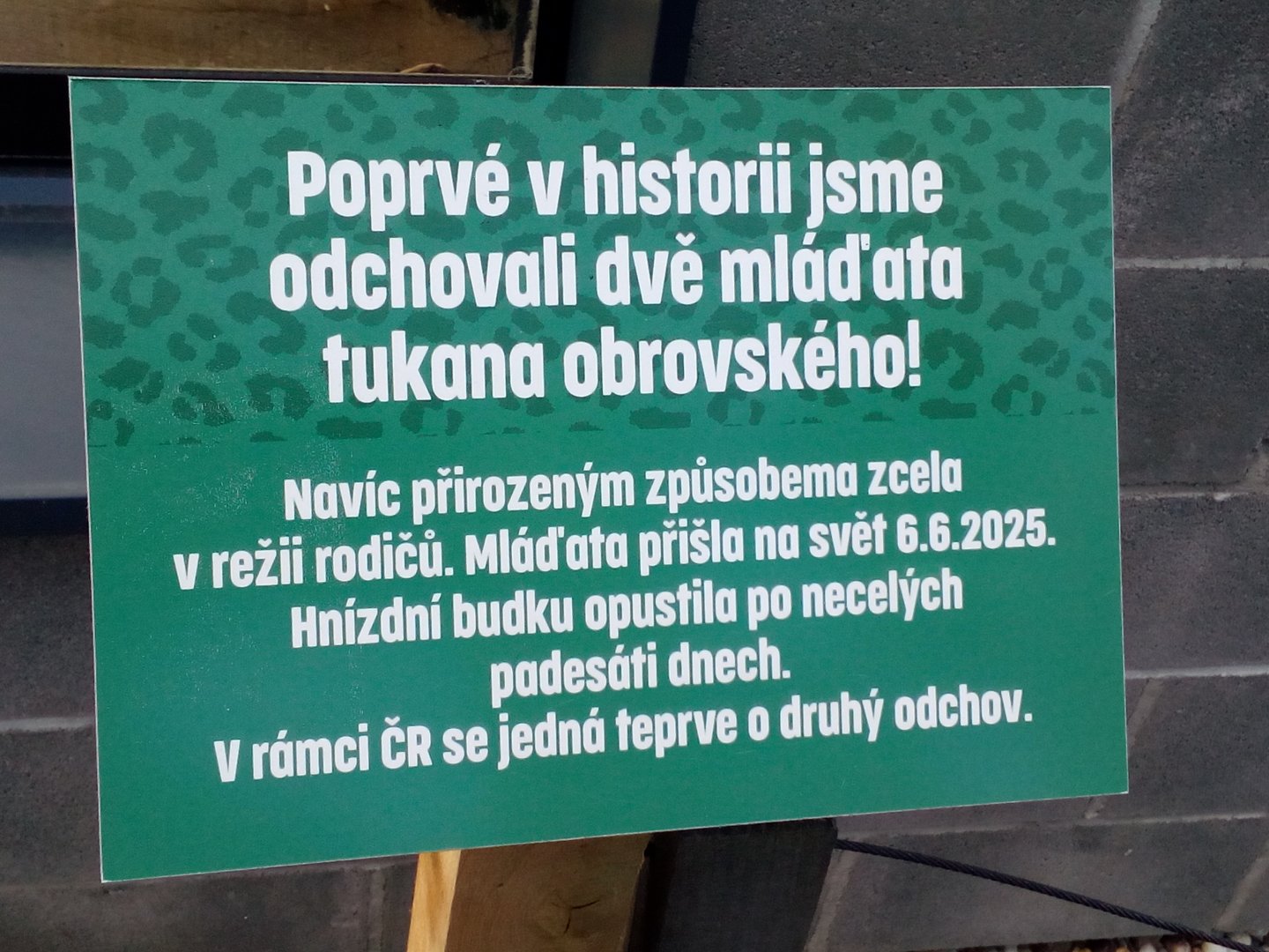 Plaque commemorating the first breeding of toco toucan-9/25