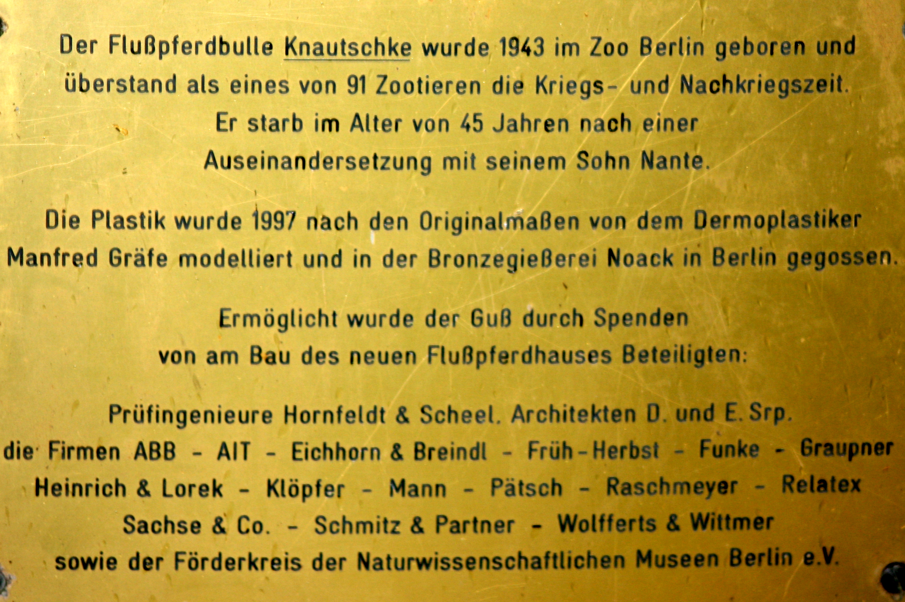 Plaque for hippopotamus "Knautschke"; Berlin Zoo; 7th September 2011