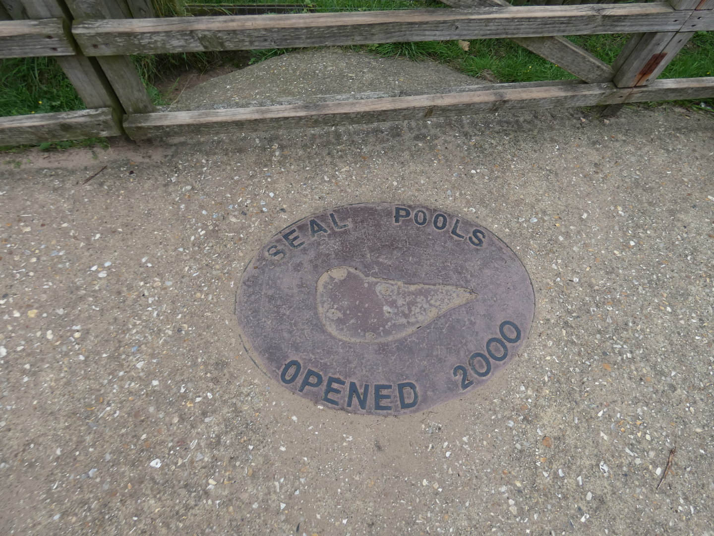 Plaque to seal pool opening