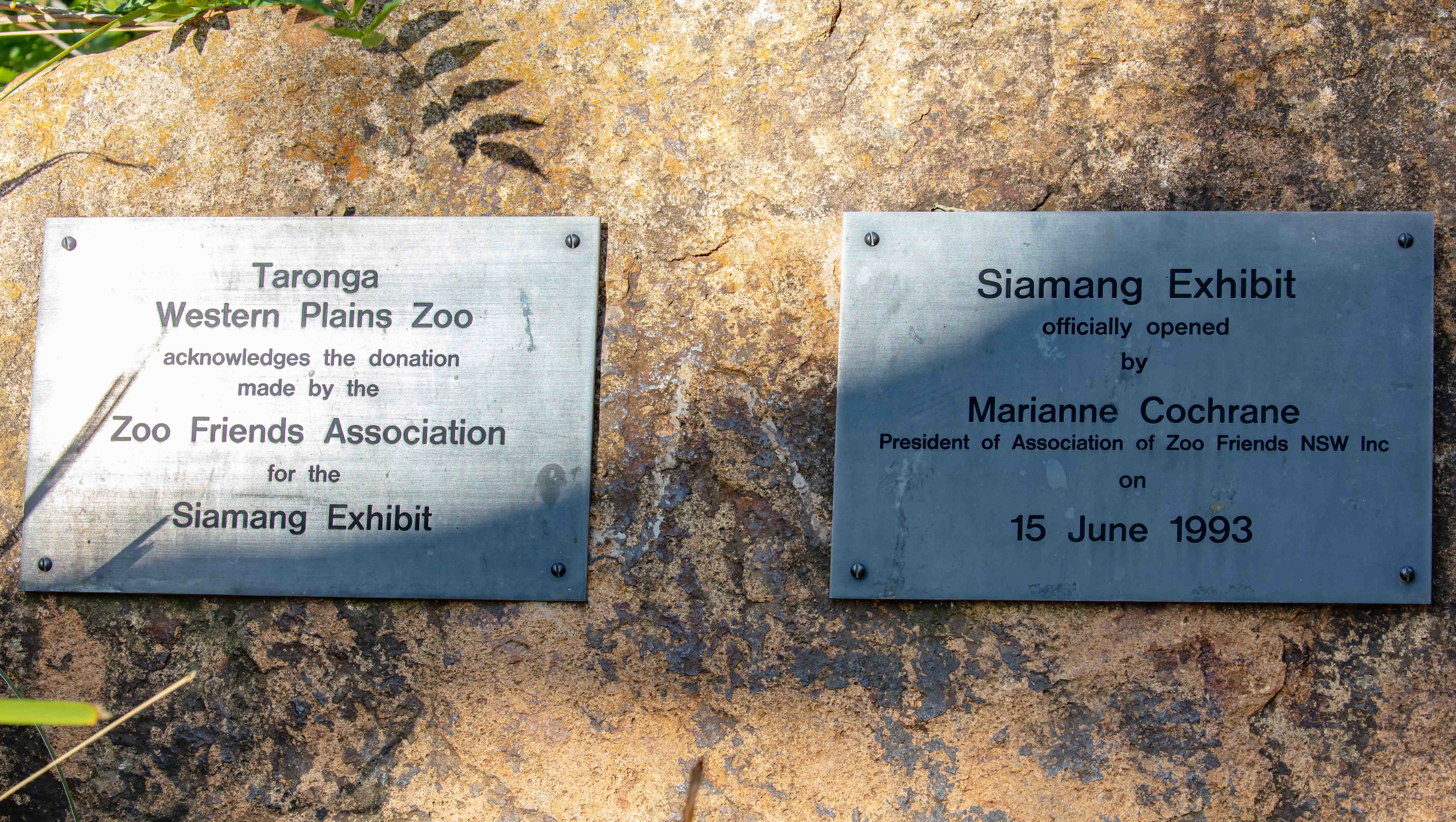 Plaques