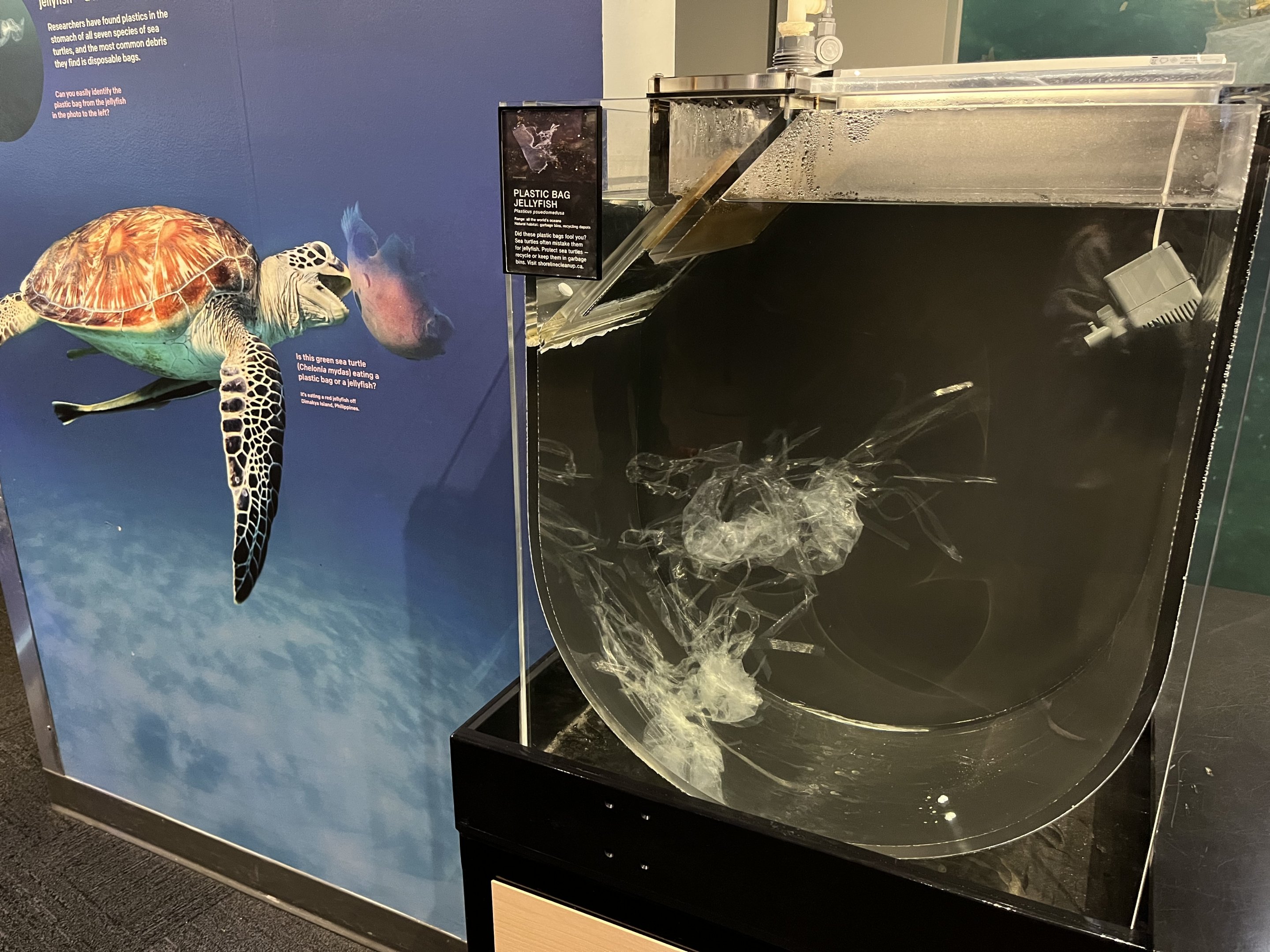 Plastic Bag Jellyfish Exhibit