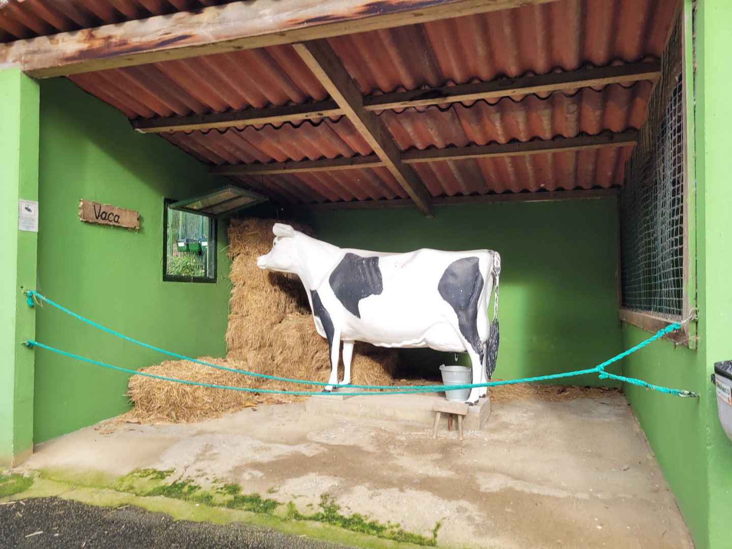 Plastic cow -Zoo de Santillana del Mar (2023)