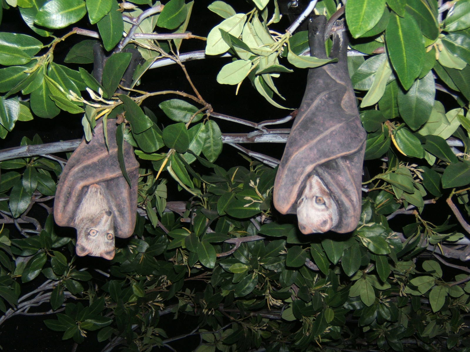 Plastic Fruit Bats