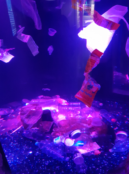 Plastic Pollution Display