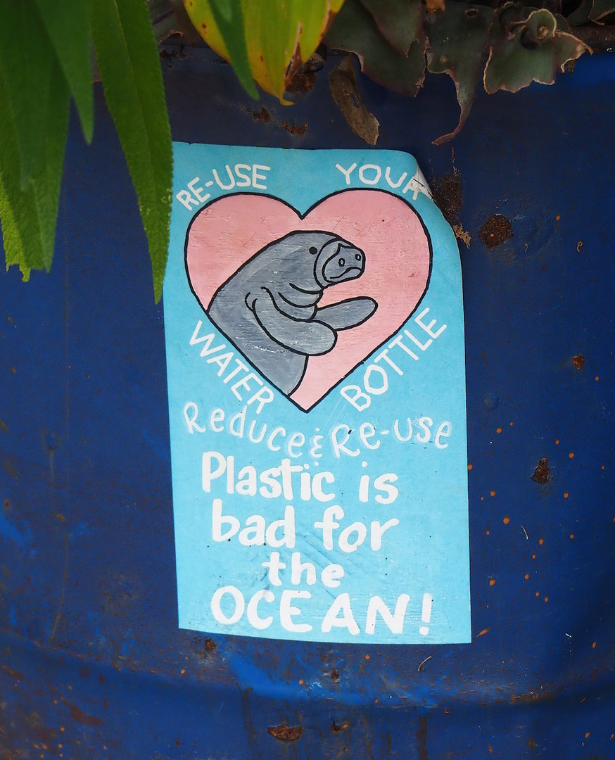 Plastic recycling sign with manatee on oil drum planter, 2023-10-07