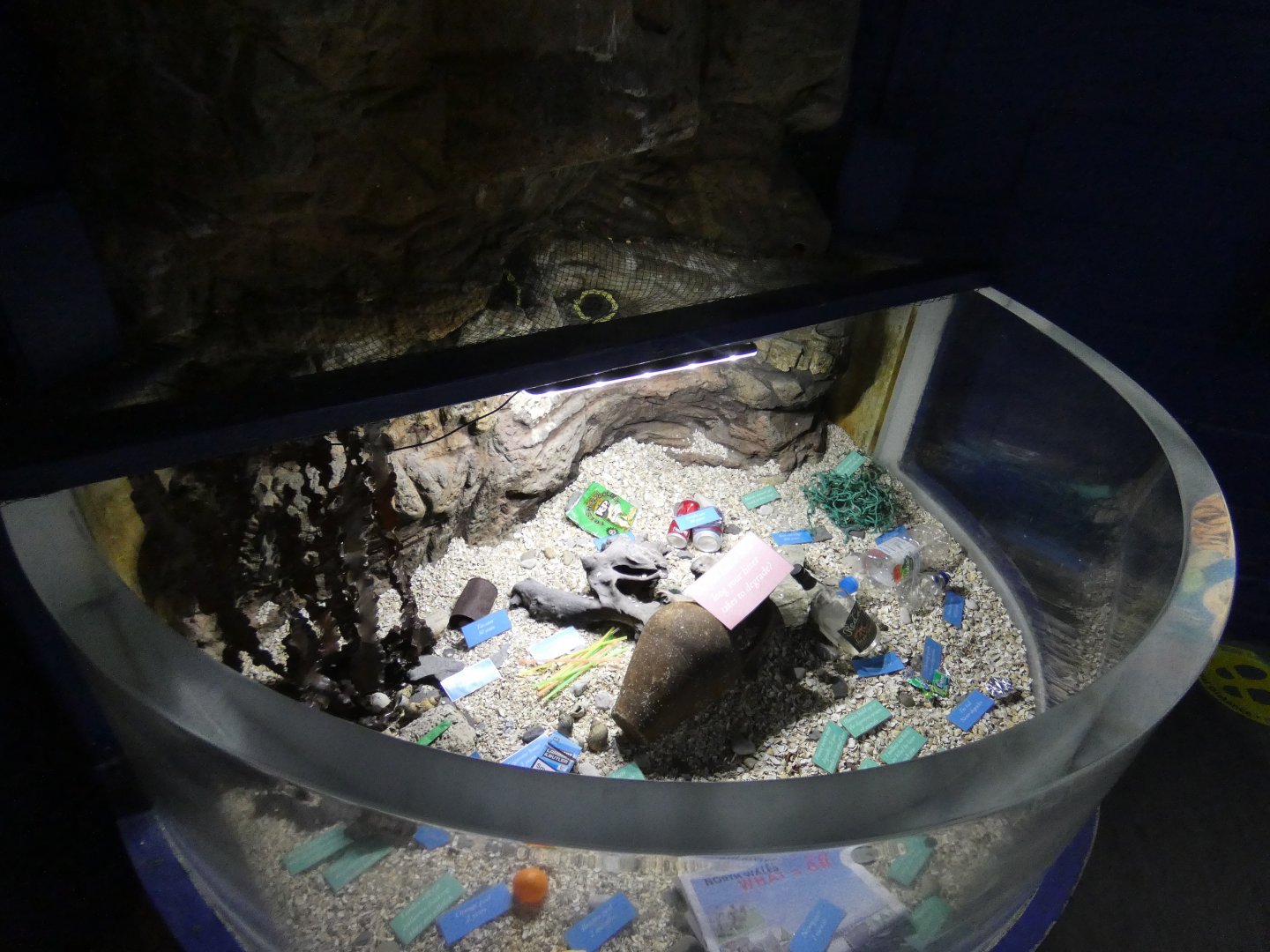 Plastic waste exhibit
