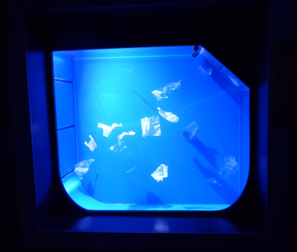 Plastics tank (Sevilla aquarium)