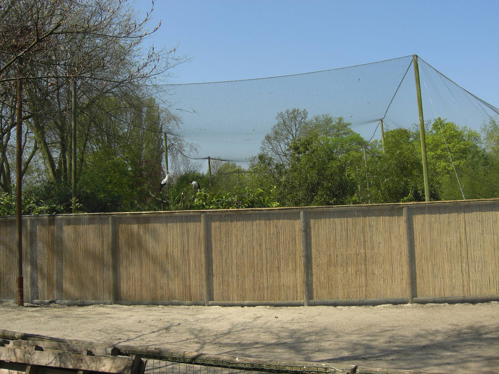 Plaswijckpark Rotterdam - Big aviary