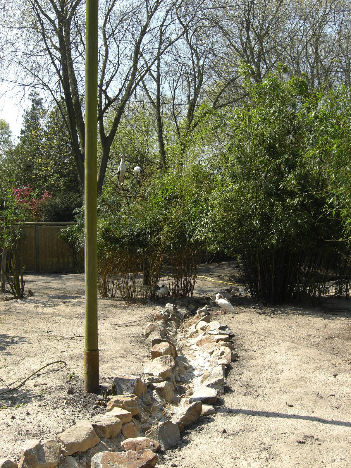 Plaswijckpark Rotterdam - Big aviary