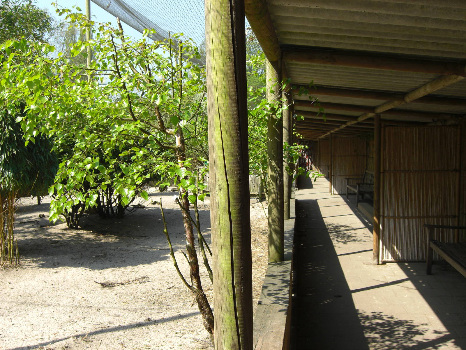 Plaswijckpark Rotterdam - Big aviary