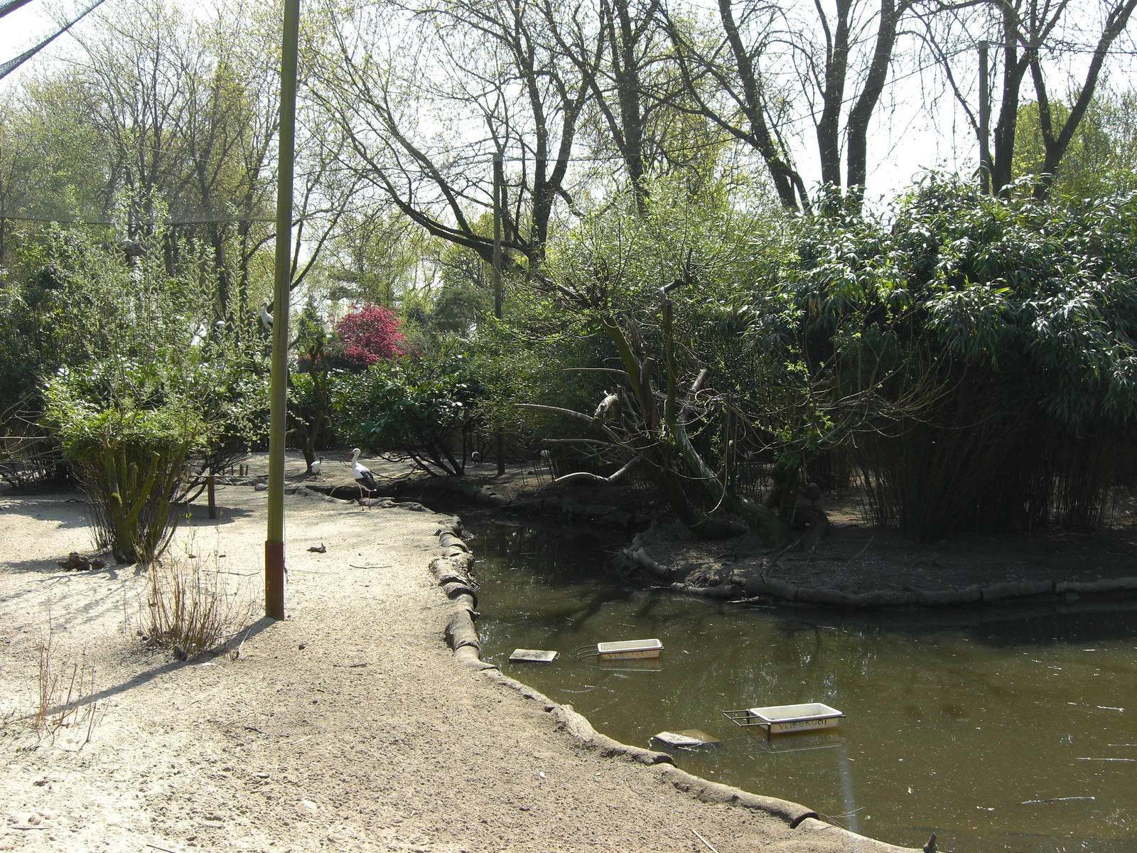 Plaswijckpark Rotterdam - Big aviary