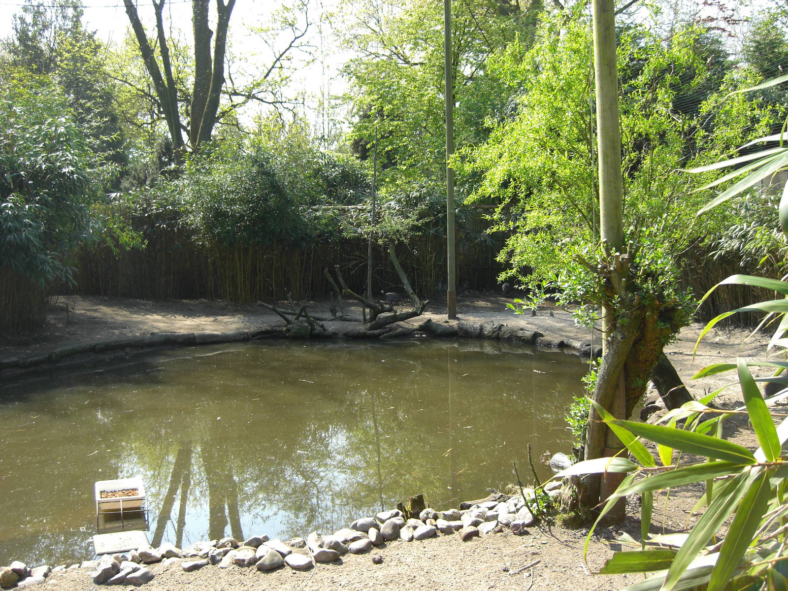 Plaswijckpark Rotterdam - Big aviary