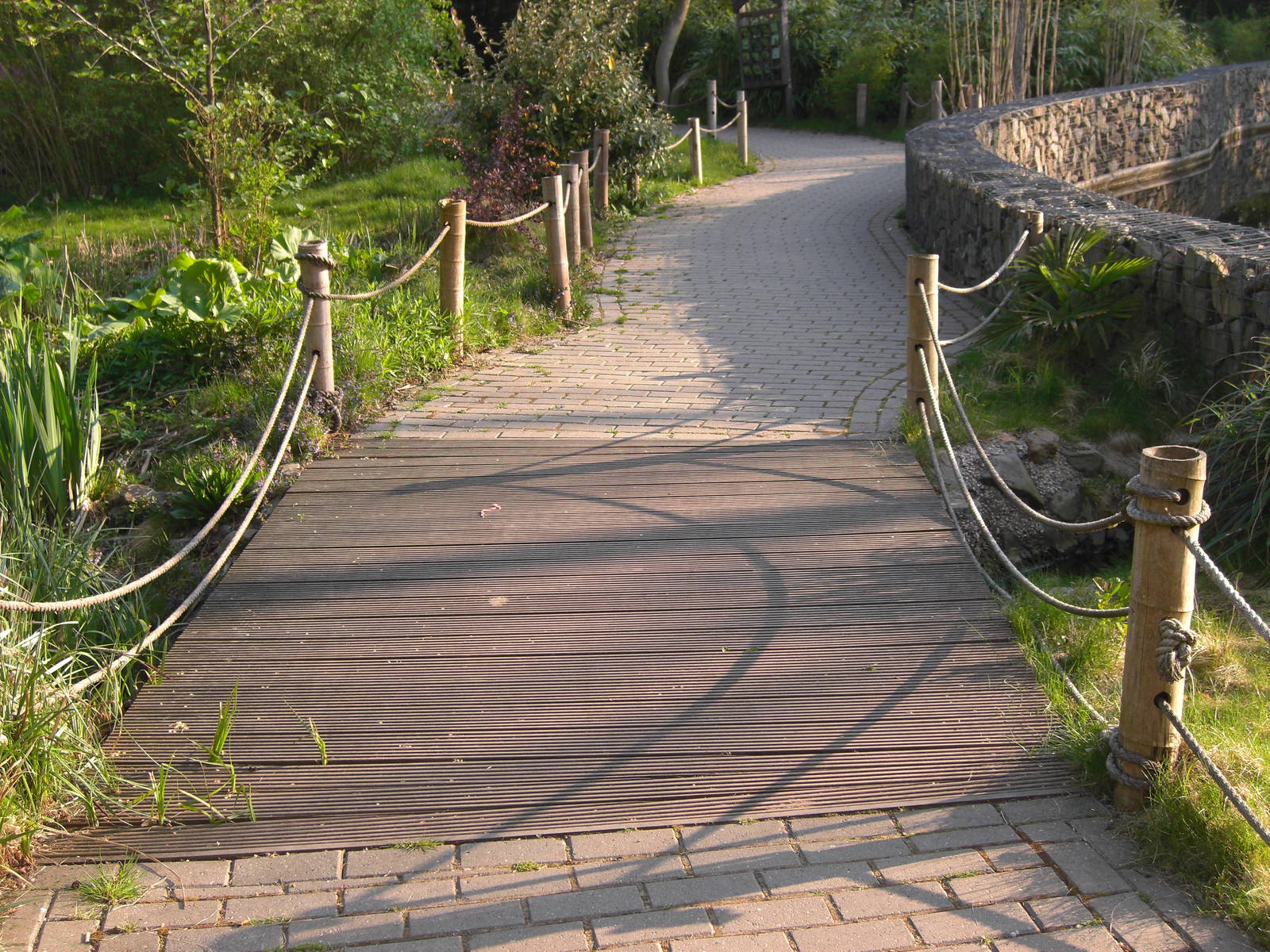 Plaswijckpark Rotterdam - Bridge next to the Black and White Ruffed Lemurs