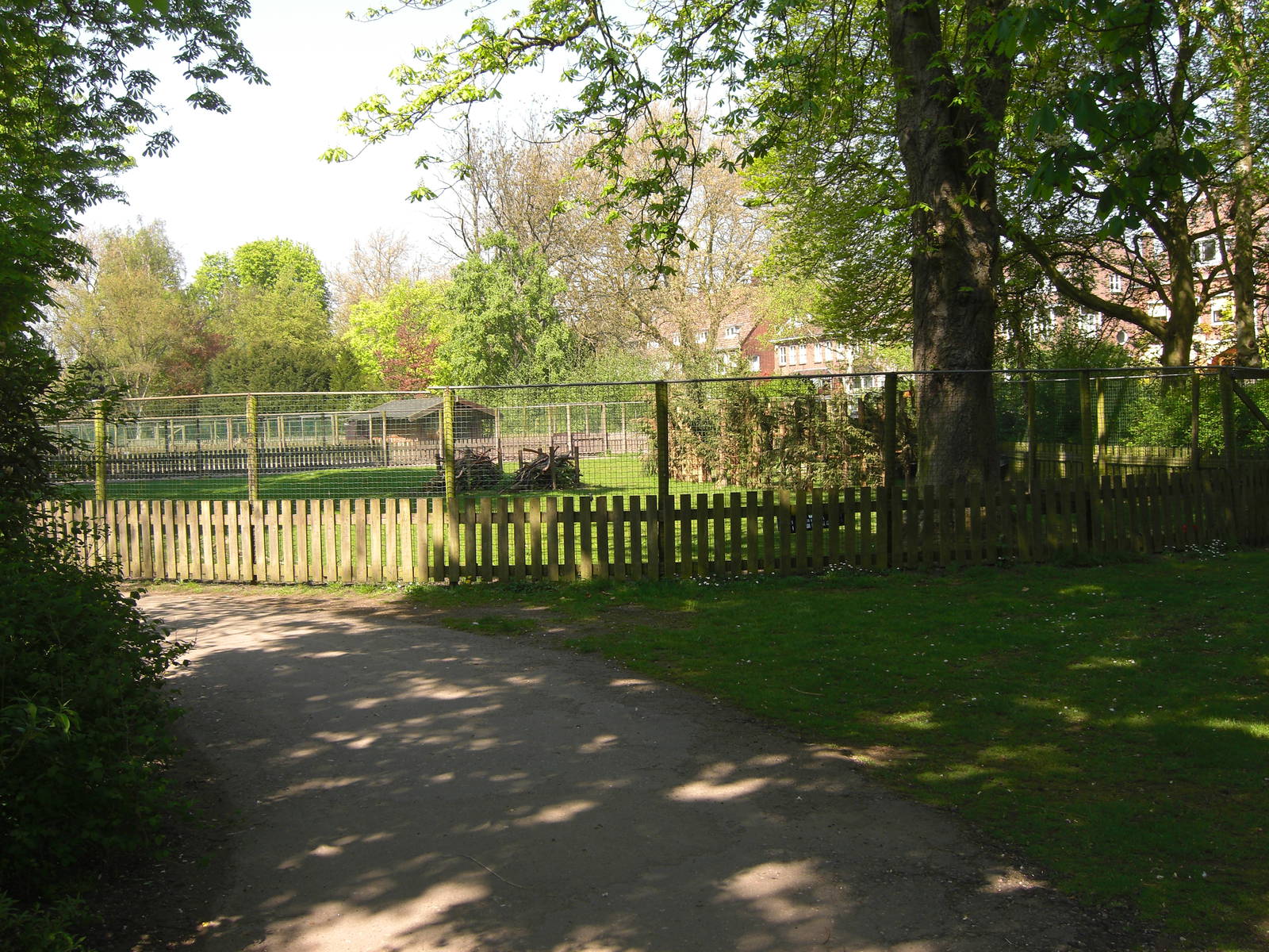 Plaswijckpark Rotterdam - Deer enclosure