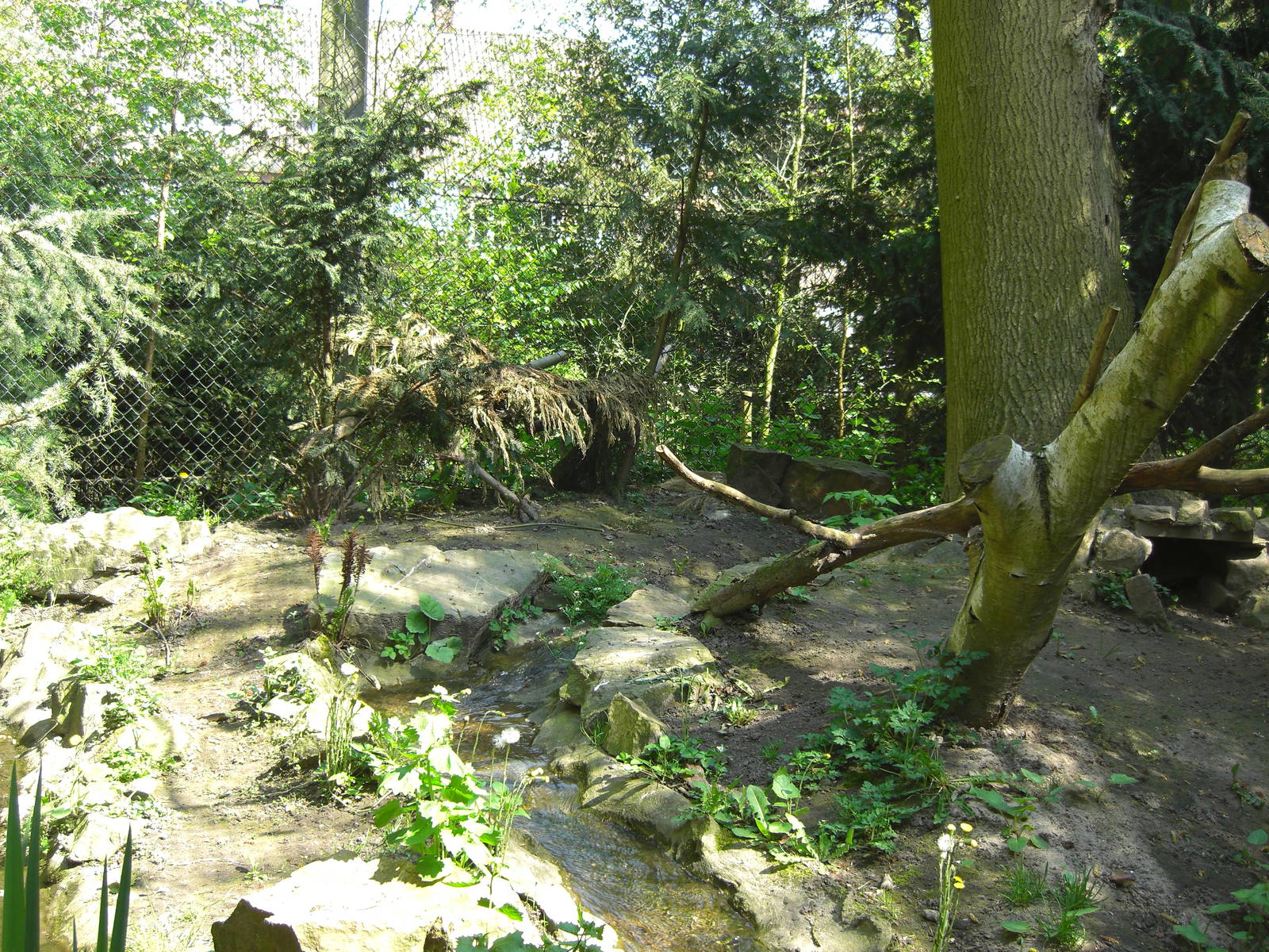 Plaswijckpark Rotterdam - Former Red Fox enclosure at the Cathouse