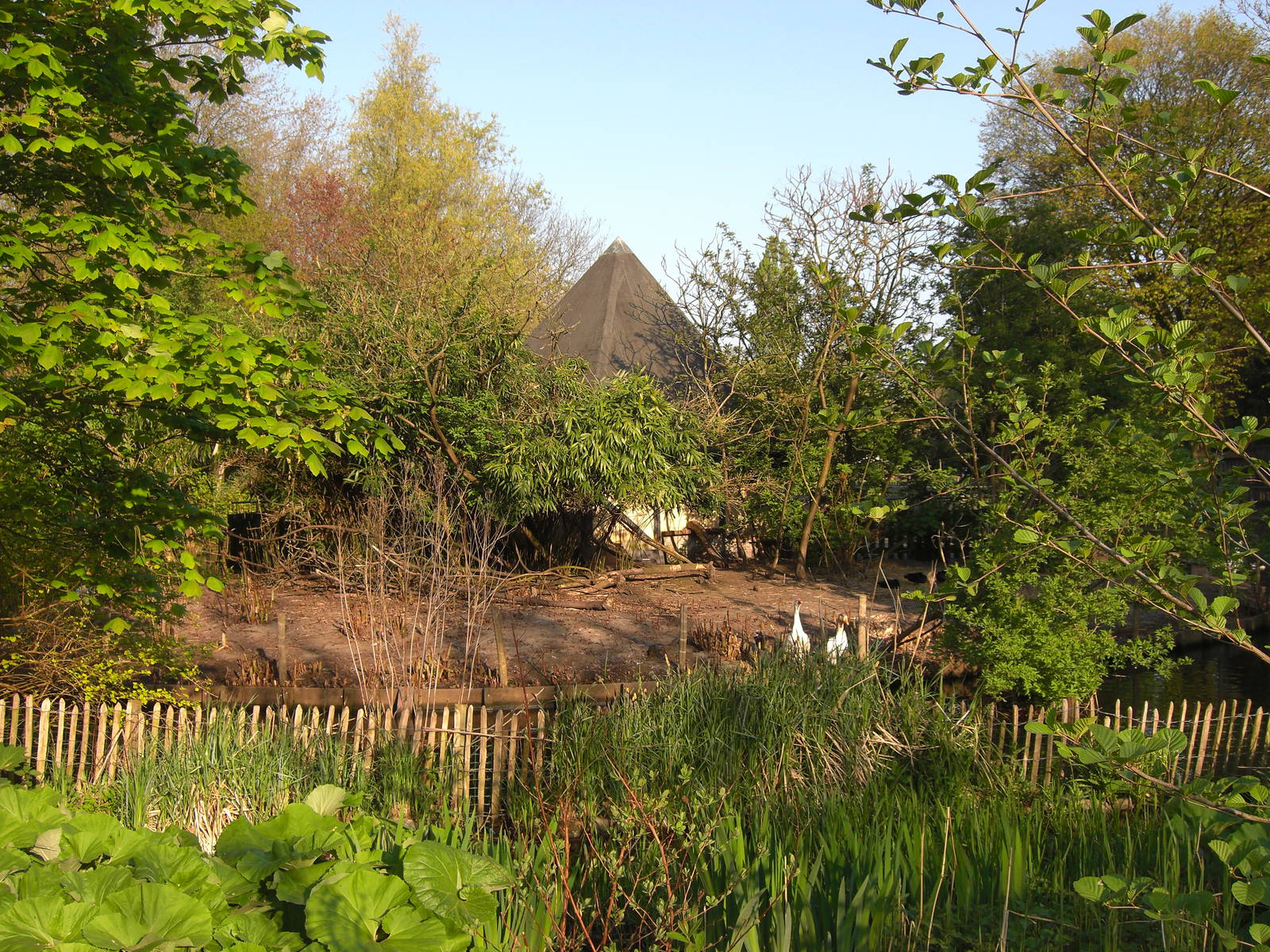 Plaswijckpark Rotterdam - Goose enclosure