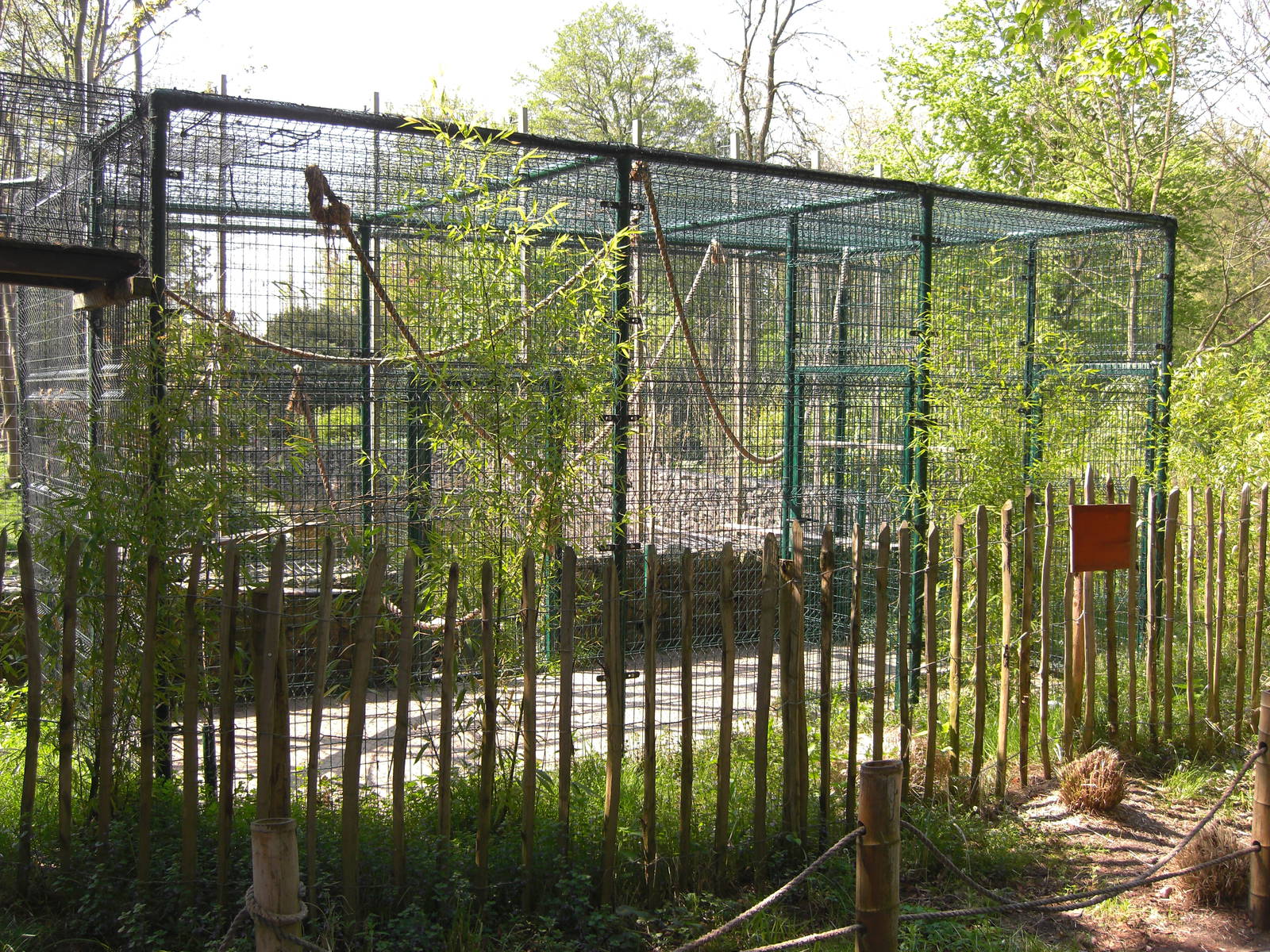 Plaswijckpark Rotterdam - Outside cage for the Black and White Ruffed Lemur