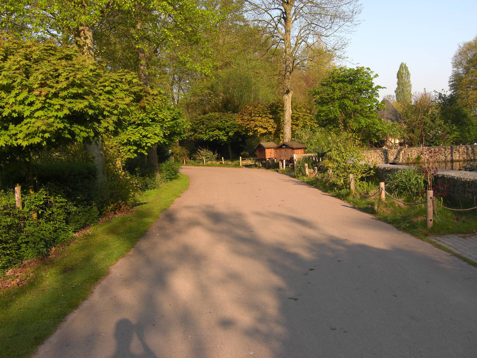 Plaswijckpark Rotterdam - Path next to the Black and White Ruffed Lemurs
