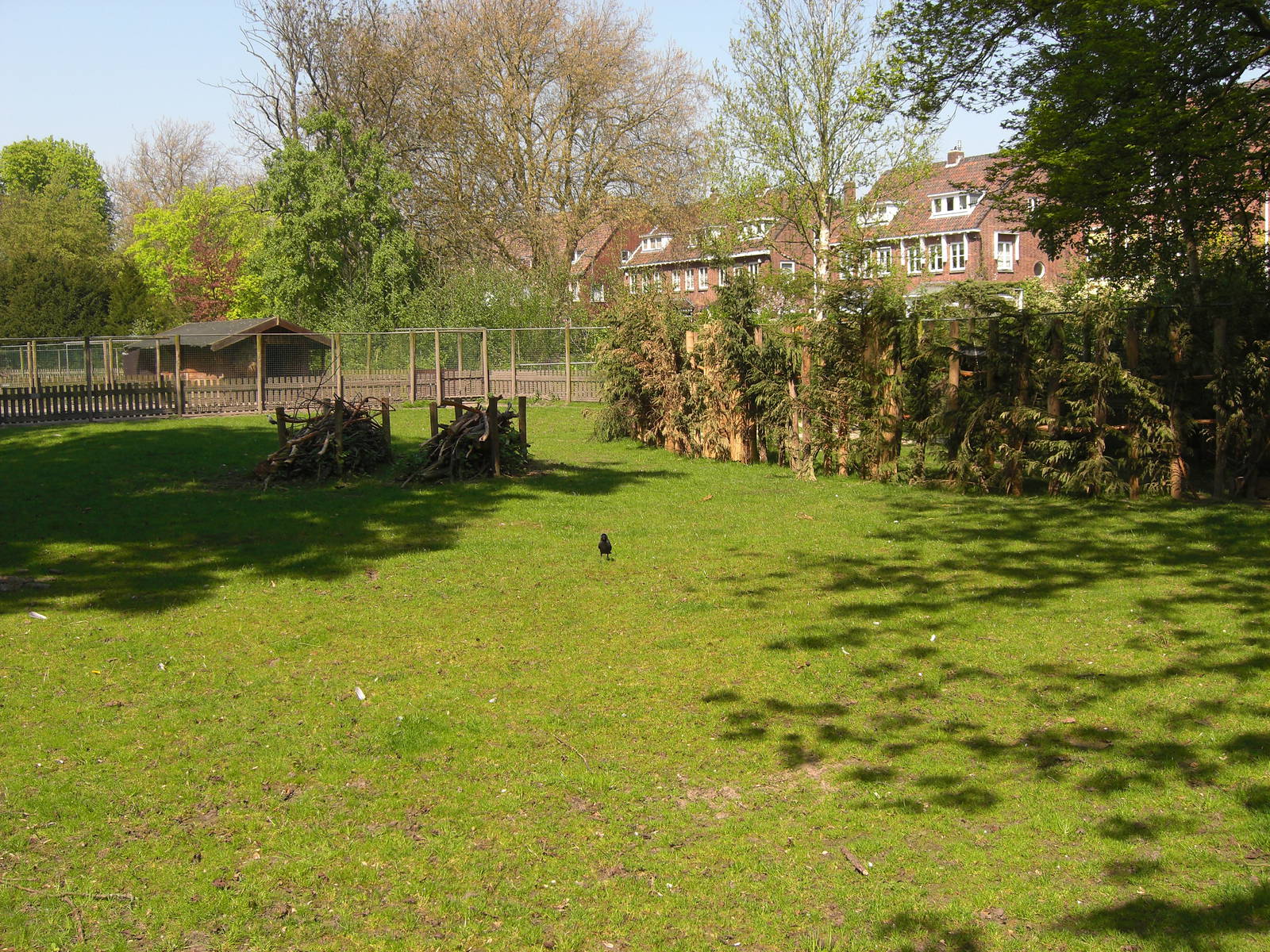 Plaswijckpark Rotterdam - Red deer and Roe deer enclosure