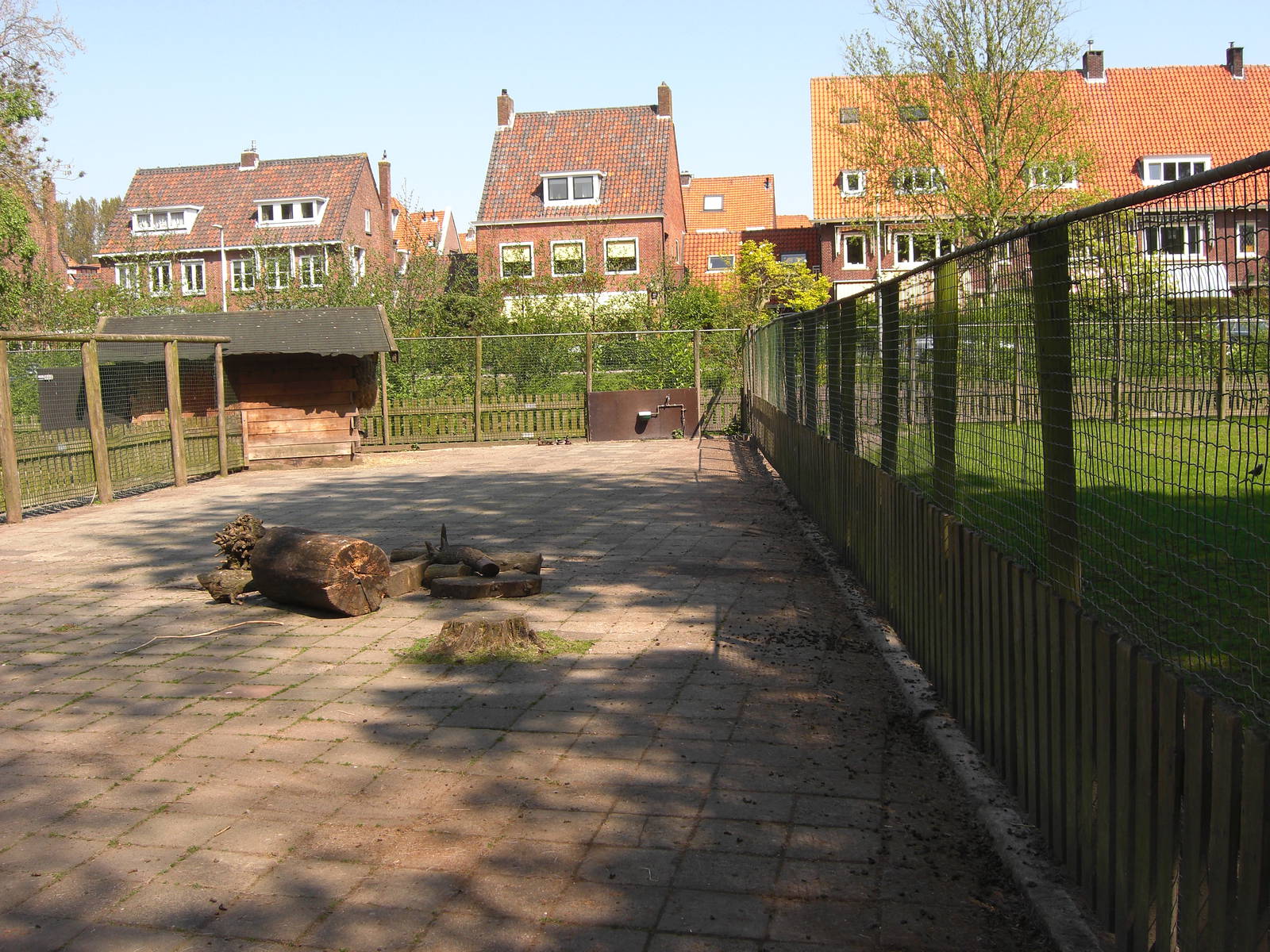 Plaswijckpark Rotterdam - Red deer and Roe deer enclosure