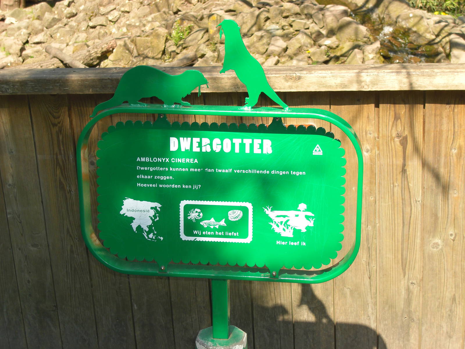 Plaswijckpark Rotterdam - Small-clawed otter education