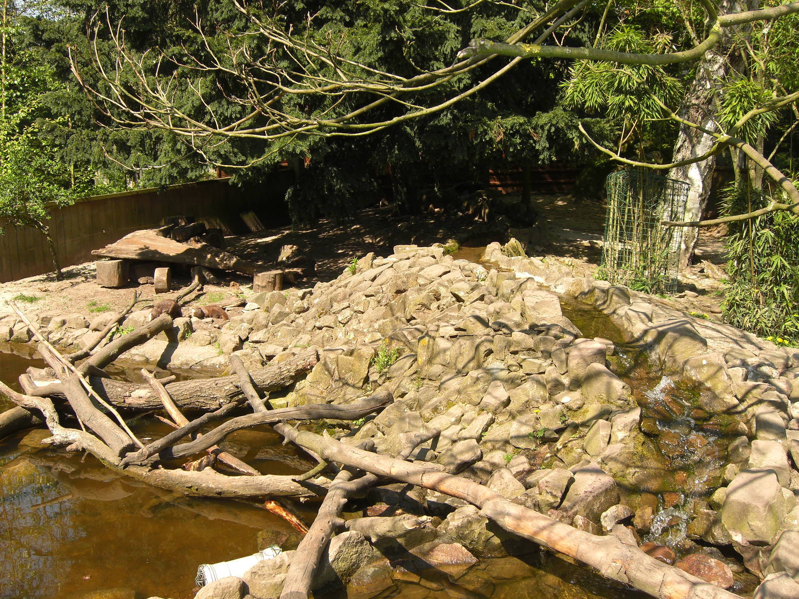 Plaswijckpark Rotterdam - Small-clawed otter enclosure