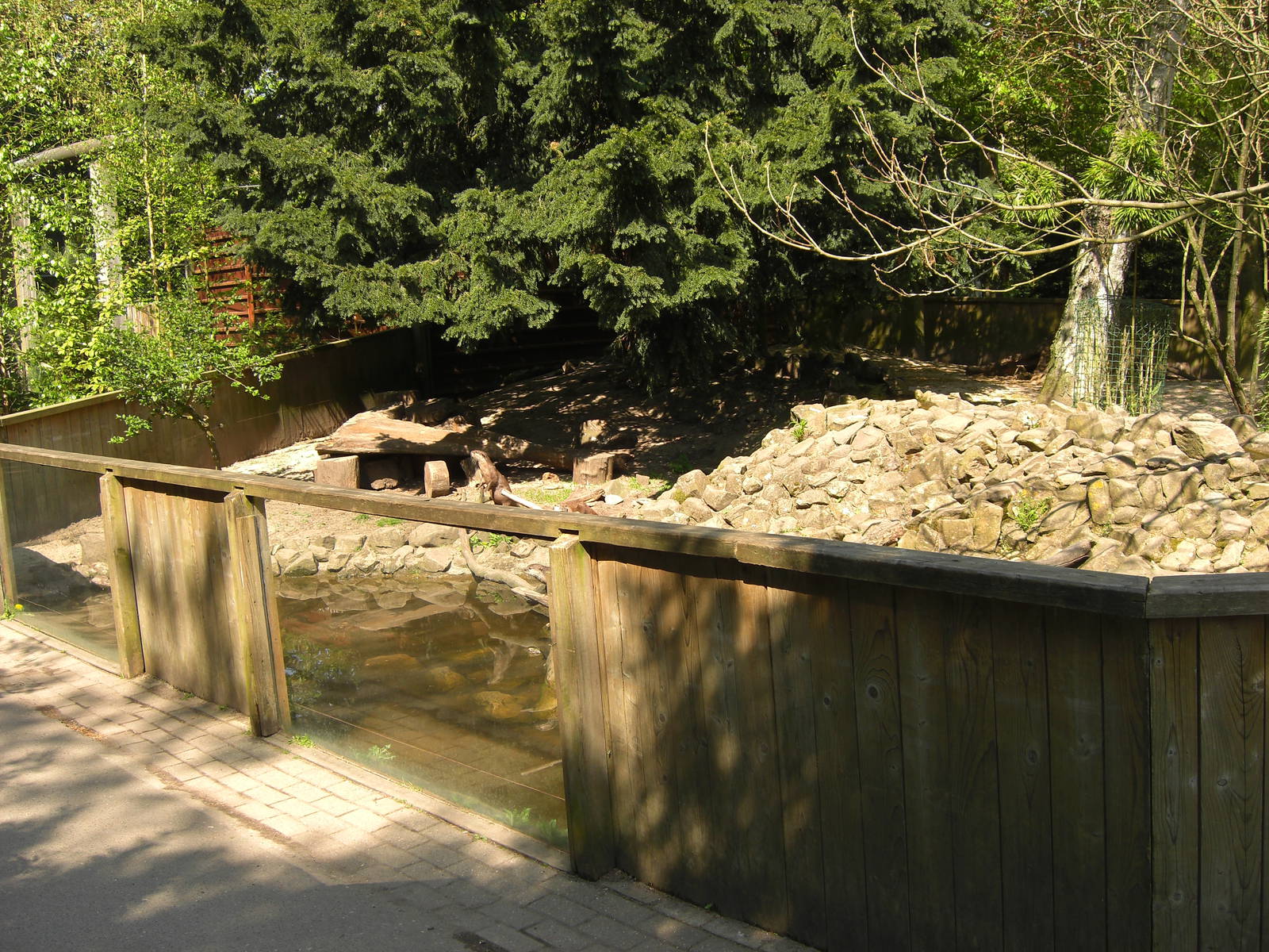 Plaswijckpark Rotterdam - Small-clawed otter enclosure