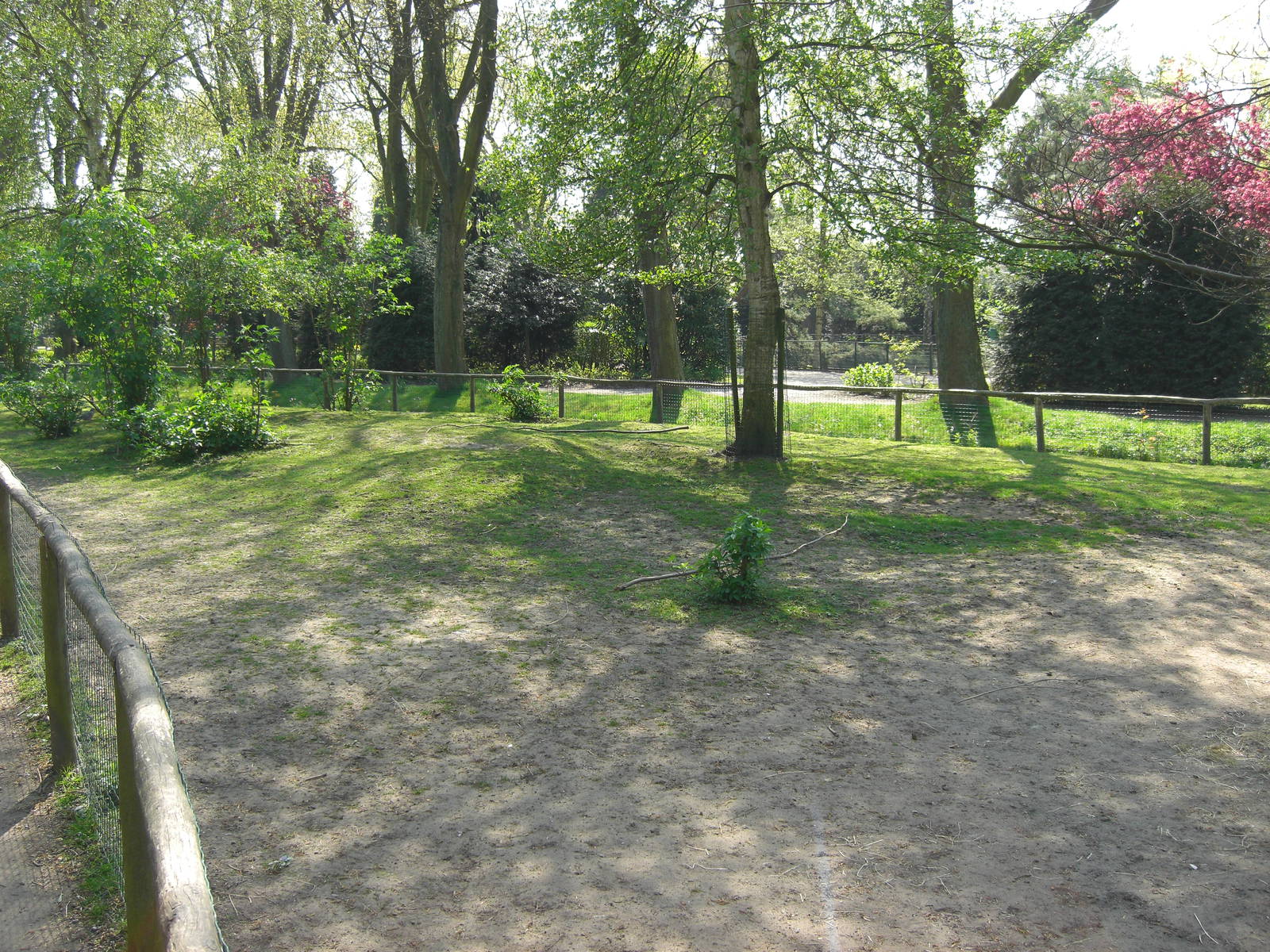 Plaswijckpark Rotterdam - South American pampas