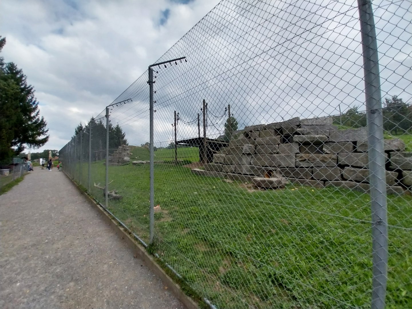 Plätli zoo Frauenfeld - Barbary macaque enclosure