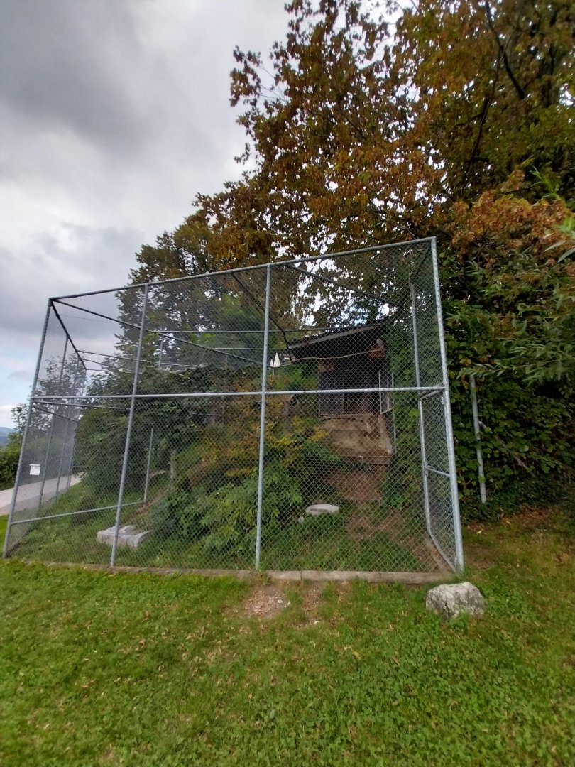 Plätli zoo Frauenfeld - Central European barn owl aviary